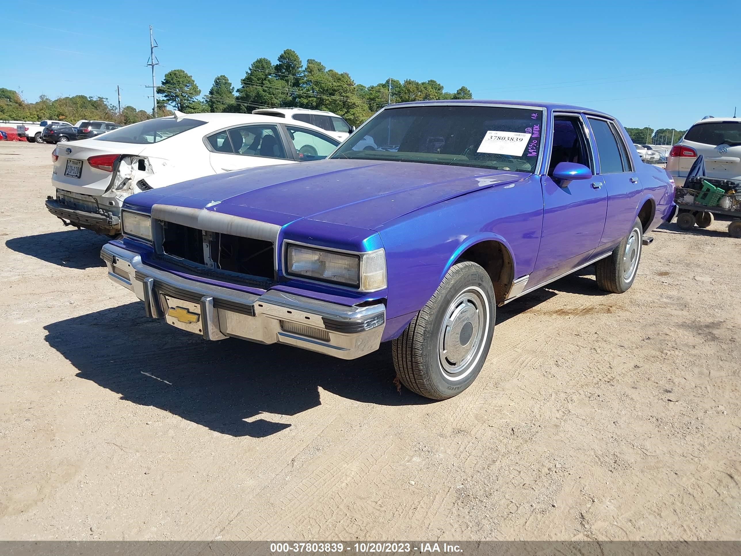 Photo 1 VIN: 2G1AN69H6D1169556 - CHEVROLET CAPRICE 