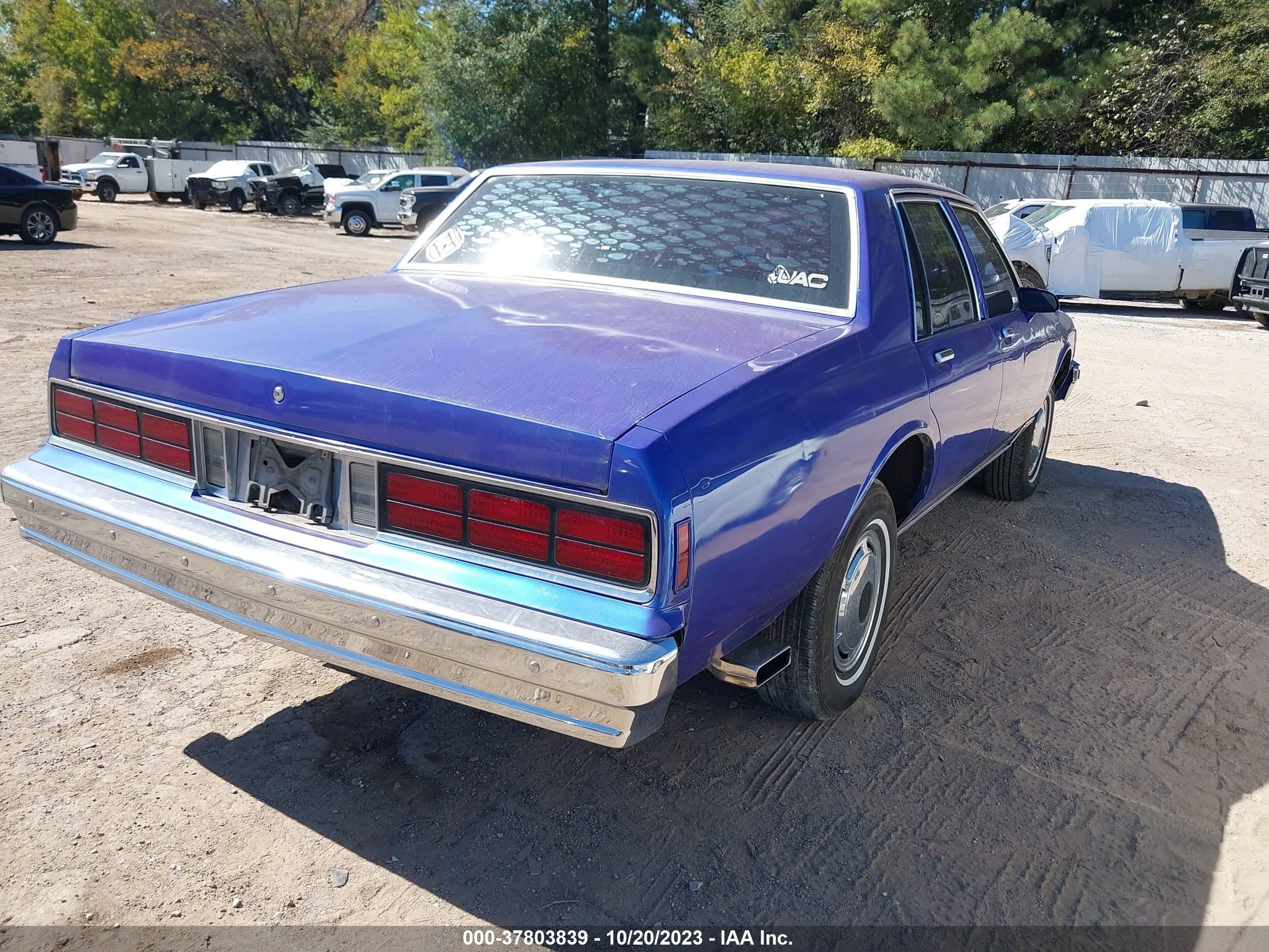 Photo 3 VIN: 2G1AN69H6D1169556 - CHEVROLET CAPRICE 