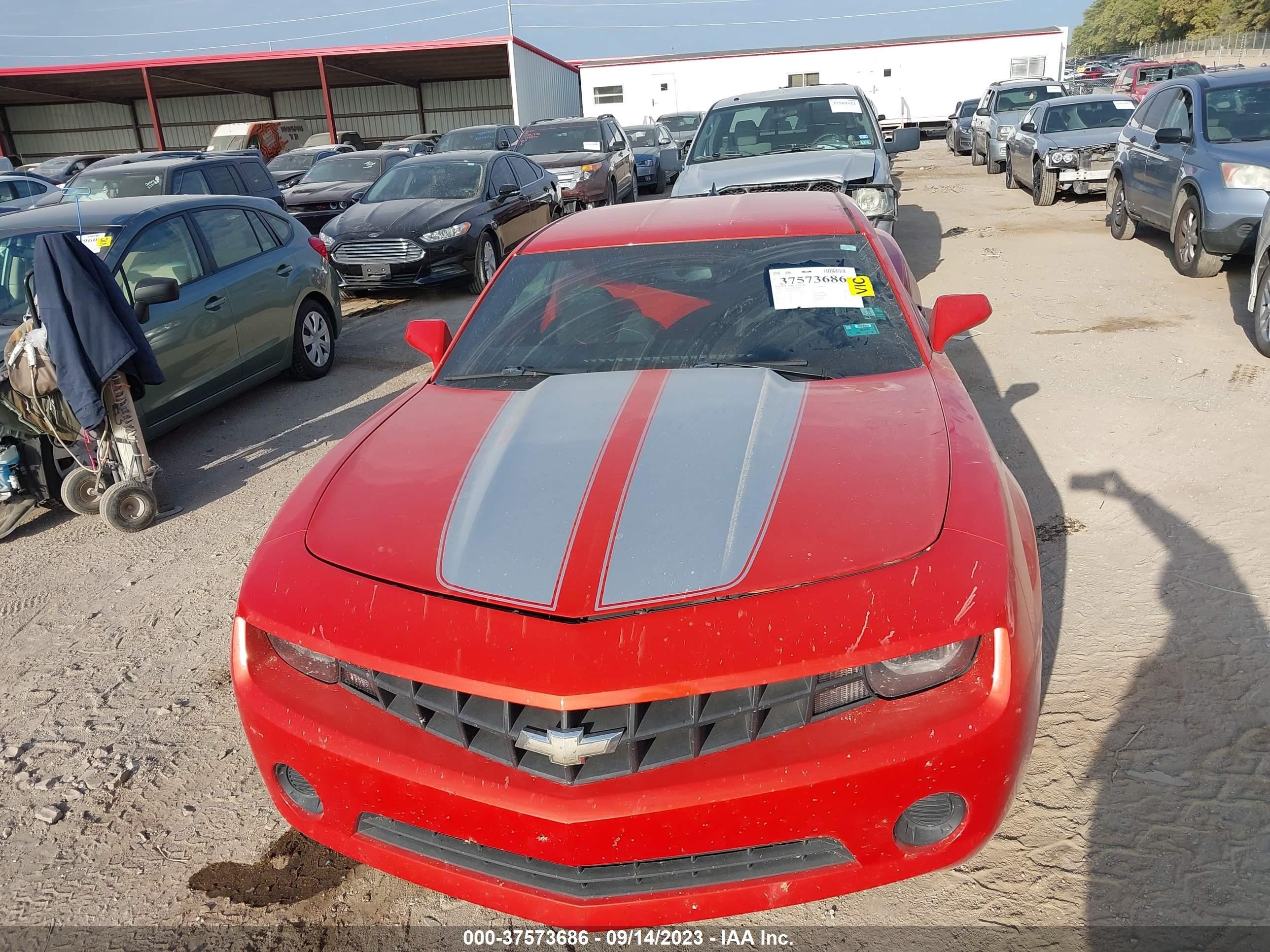 Photo 11 VIN: 2G1FA1E34D9206166 - CHEVROLET CAMARO 