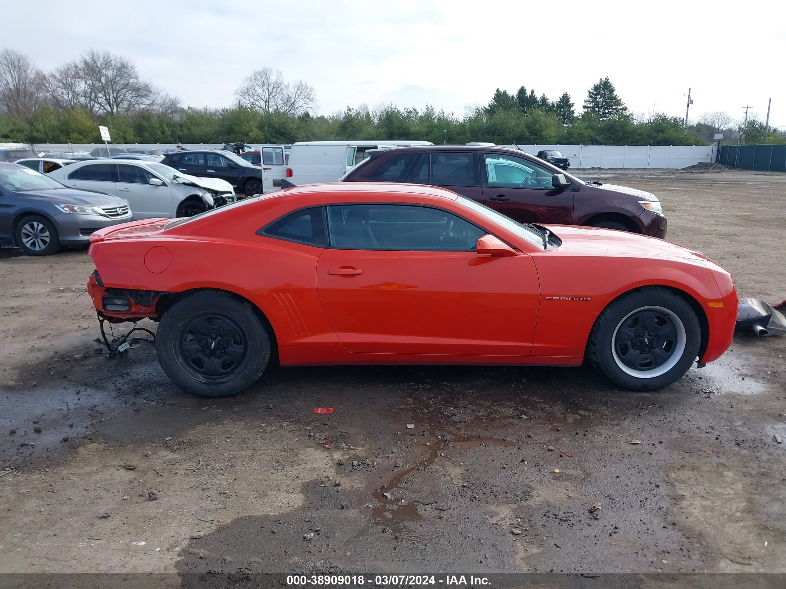 Photo 13 VIN: 2G1FA1E39D9133411 - CHEVROLET CAMARO 