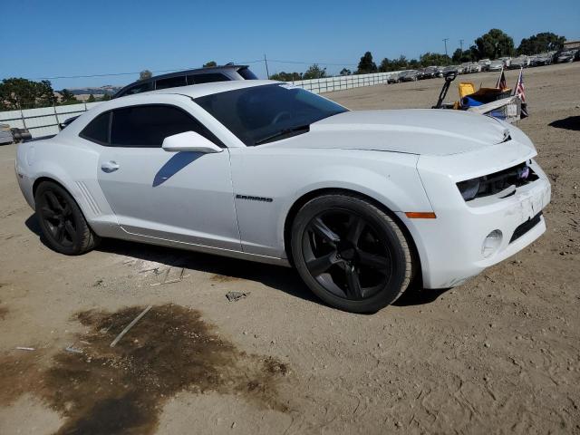 Photo 3 VIN: 2G1FA1E3XD9173044 - CHEVROLET CAMARO 