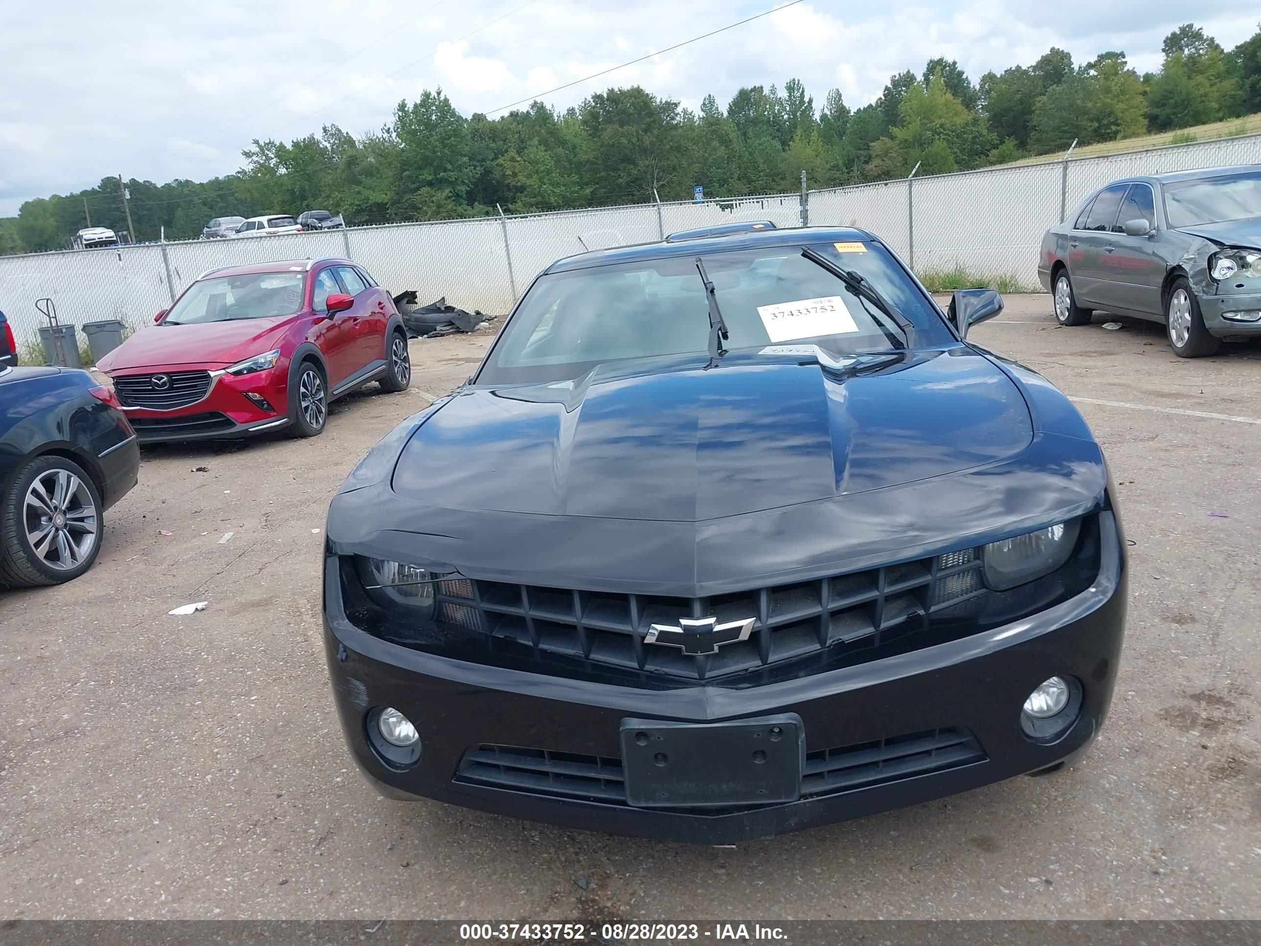 Photo 11 VIN: 2G1FB1E32D9194368 - CHEVROLET CAMARO 