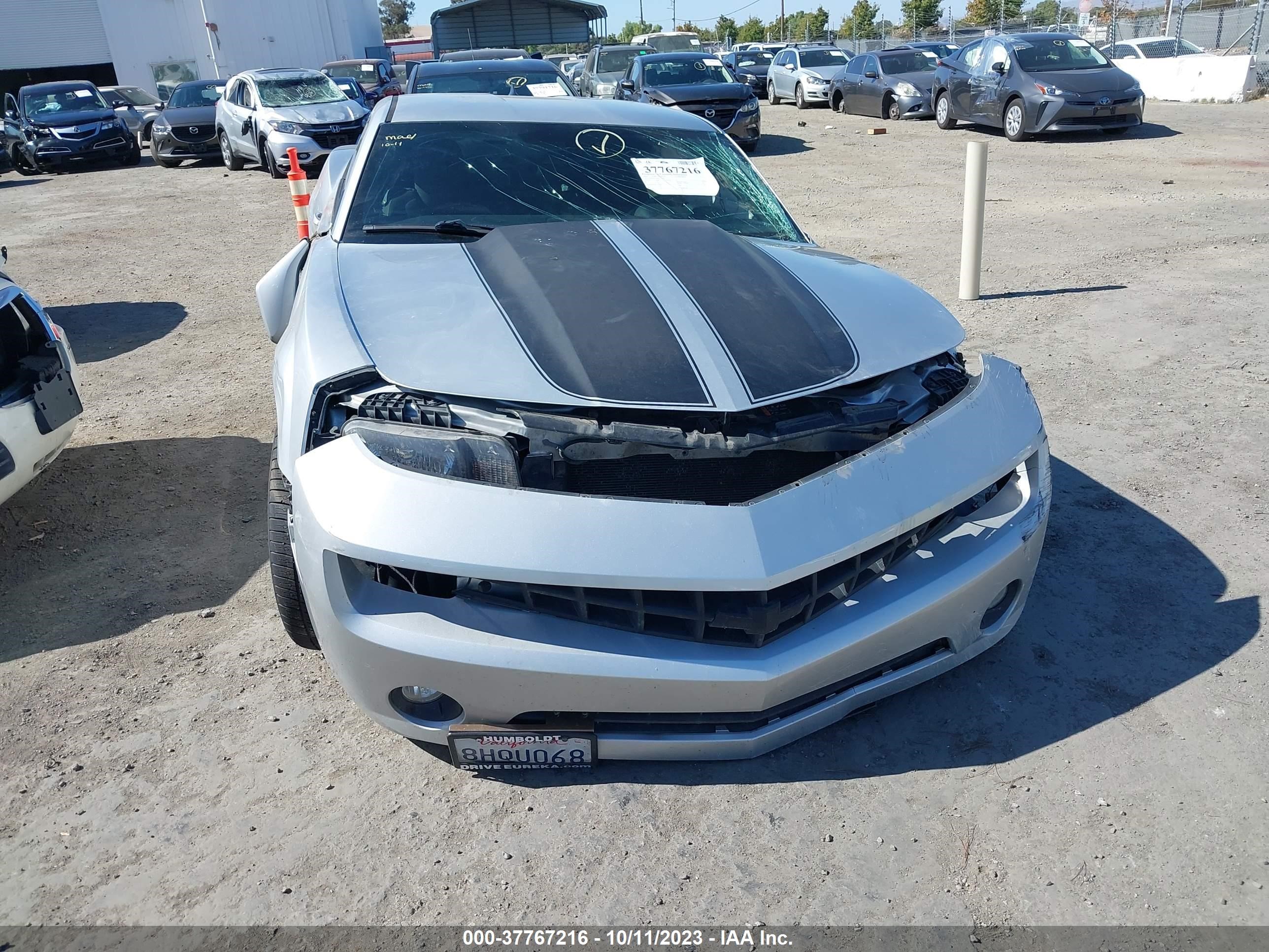 Photo 11 VIN: 2G1FB1E3XD9223146 - CHEVROLET CAMARO 