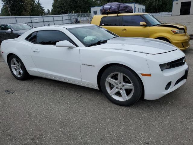 Photo 3 VIN: 2G1FB1ED5B9169017 - CHEVROLET CAMARO LT 