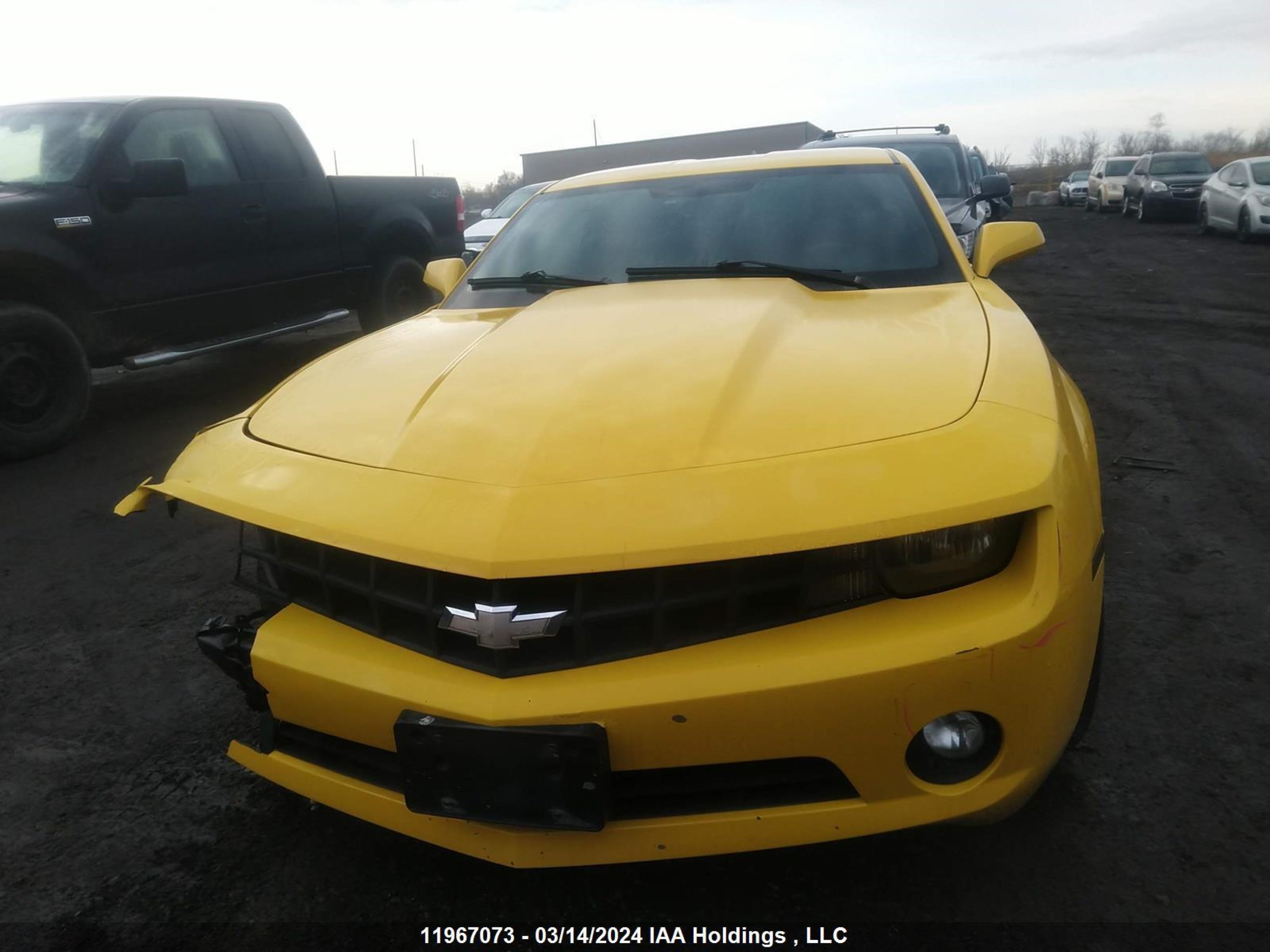 Photo 11 VIN: 2G1FB1ED9B9185351 - CHEVROLET CAMARO 