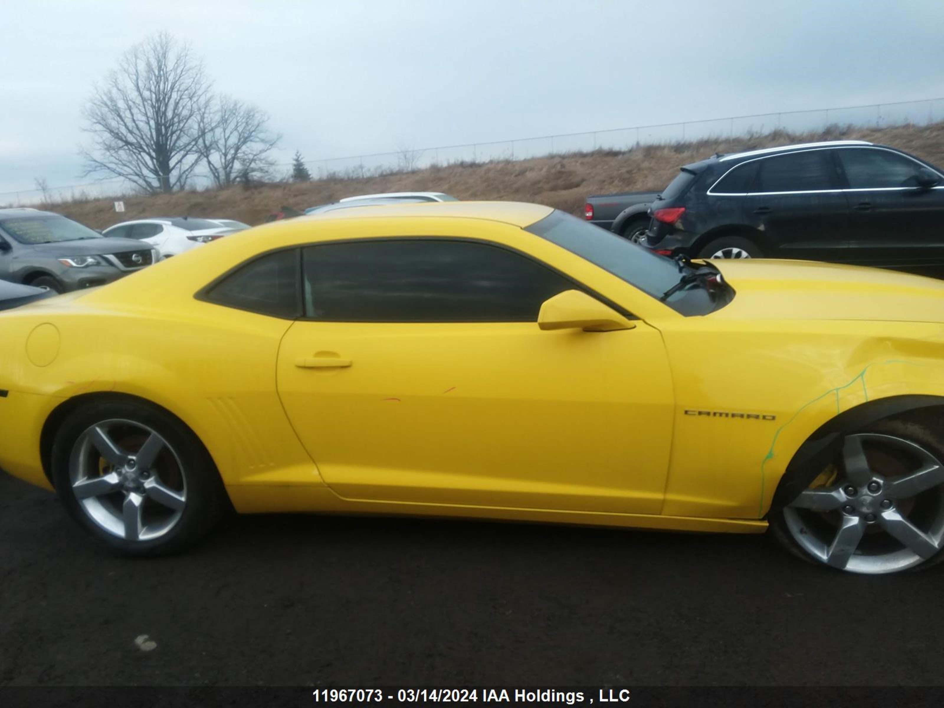 Photo 12 VIN: 2G1FB1ED9B9185351 - CHEVROLET CAMARO 