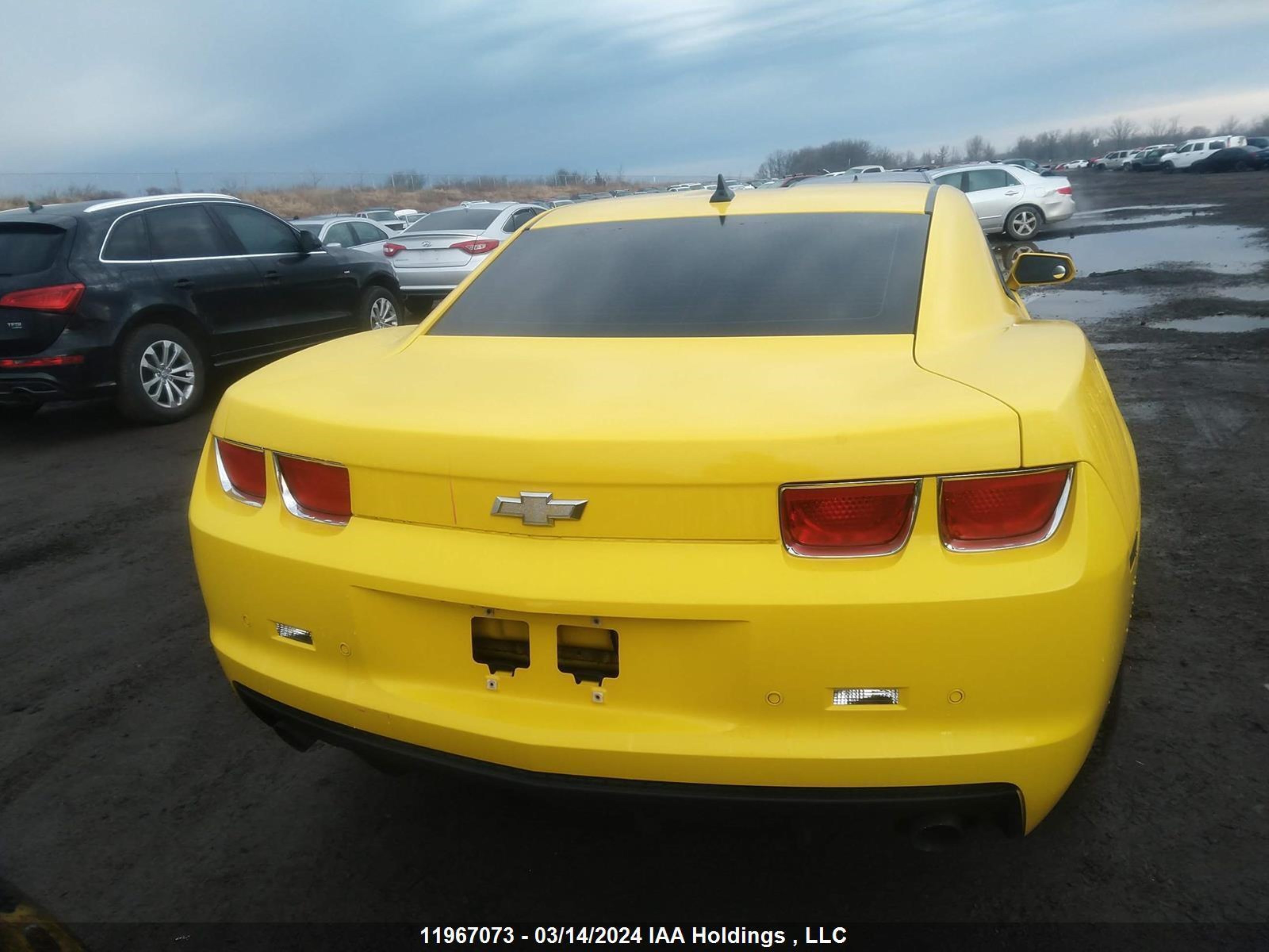 Photo 15 VIN: 2G1FB1ED9B9185351 - CHEVROLET CAMARO 