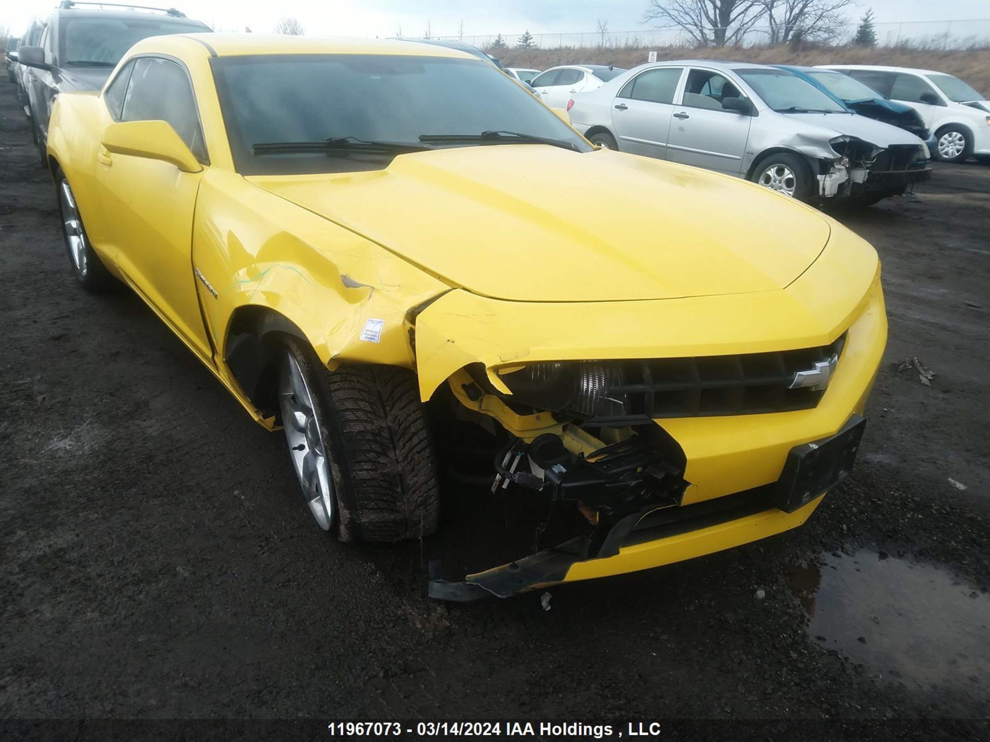 Photo 5 VIN: 2G1FB1ED9B9185351 - CHEVROLET CAMARO 