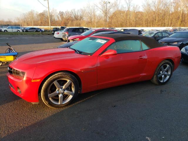 Photo 1 VIN: 2G1FC3DD1B9209099 - CHEVROLET CAMARO LT 