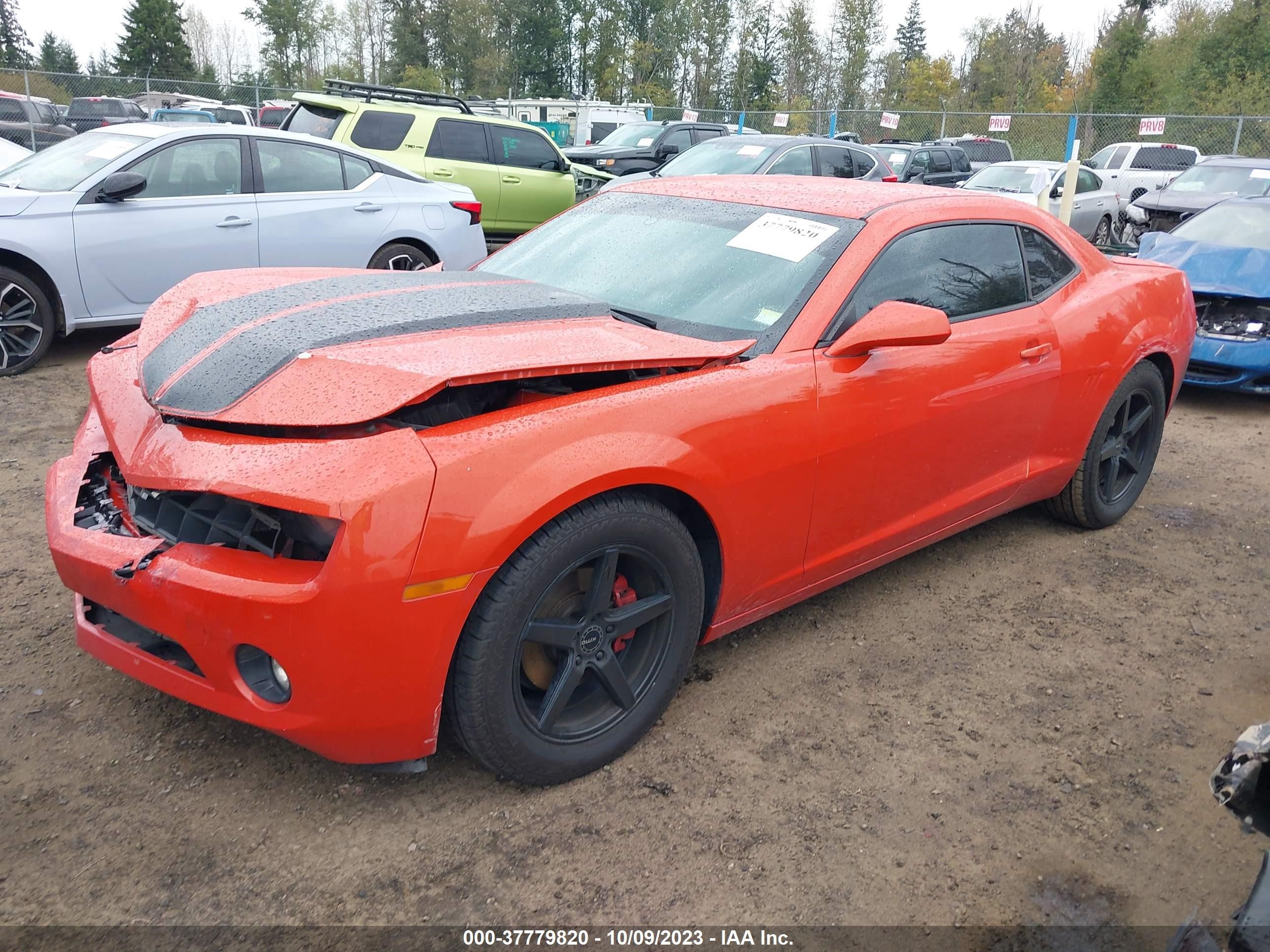 Photo 1 VIN: 2G1FE1E31D9151020 - CHEVROLET CAMARO 