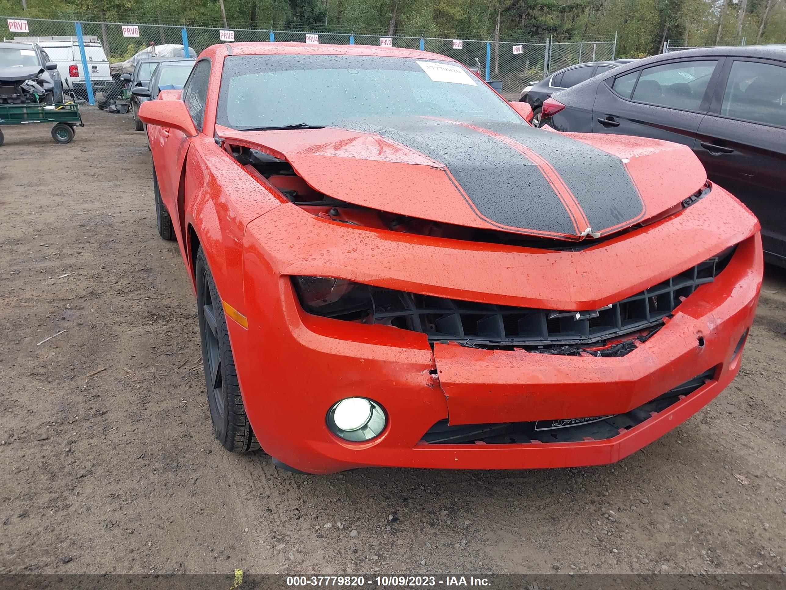 Photo 5 VIN: 2G1FE1E31D9151020 - CHEVROLET CAMARO 