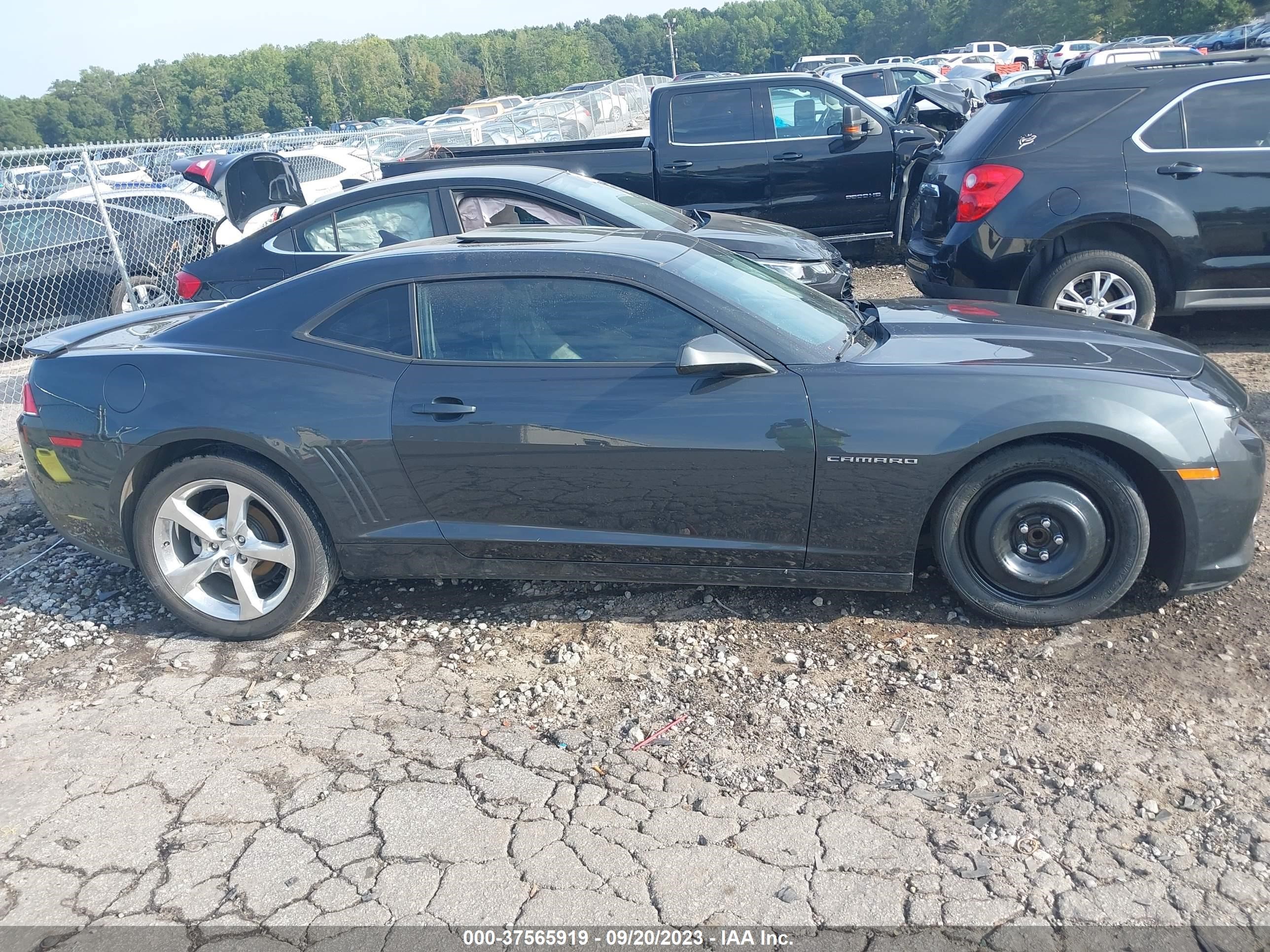 Photo 13 VIN: 2G1FF1E35F9113693 - CHEVROLET CAMARO 