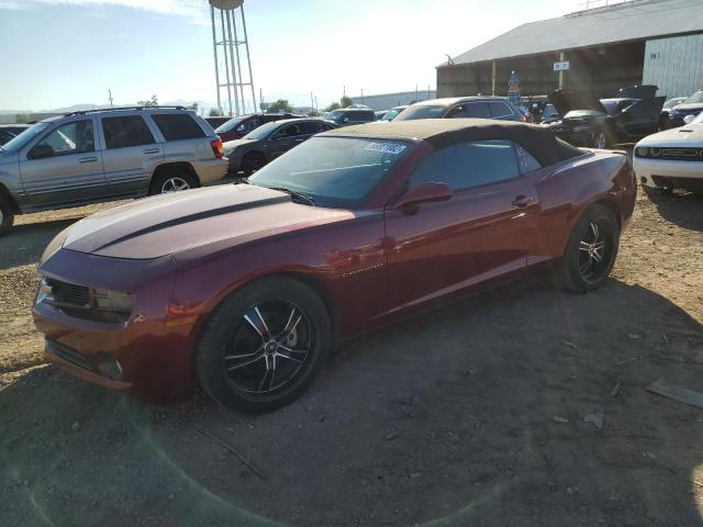 Photo 0 VIN: 2G1FF3DDXB9189149 - CHEVROLET CAMARO LT 