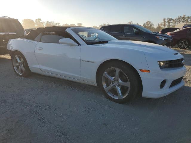 Photo 3 VIN: 2G1FJ3DJ3D9246427 - CHEVROLET CAMARO SS 