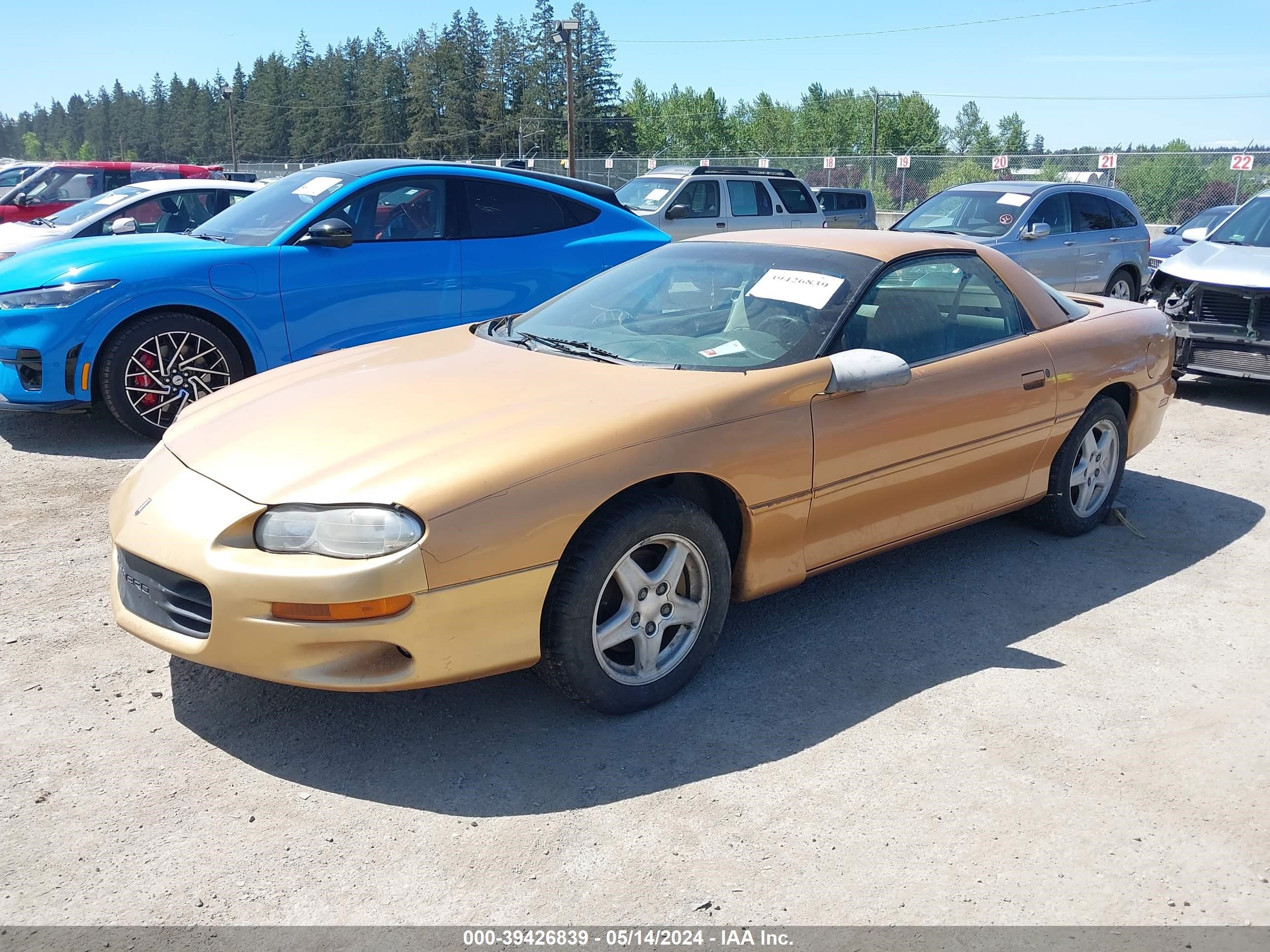 Photo 1 VIN: 2G1FP22K2W2134668 - CHEVROLET CAMARO 