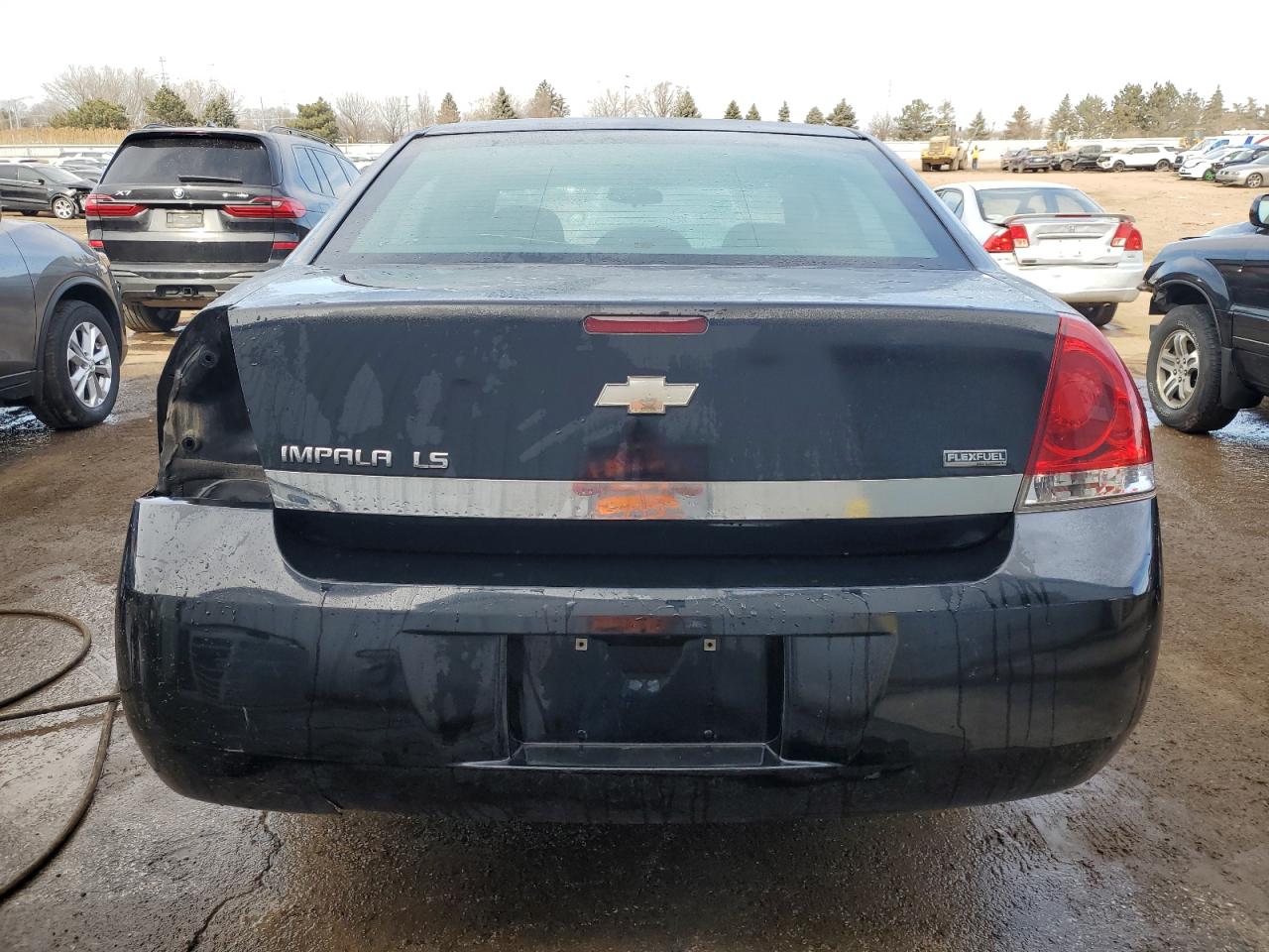 Photo 5 VIN: 2G1WB58K381284613 - CHEVROLET IMPALA 