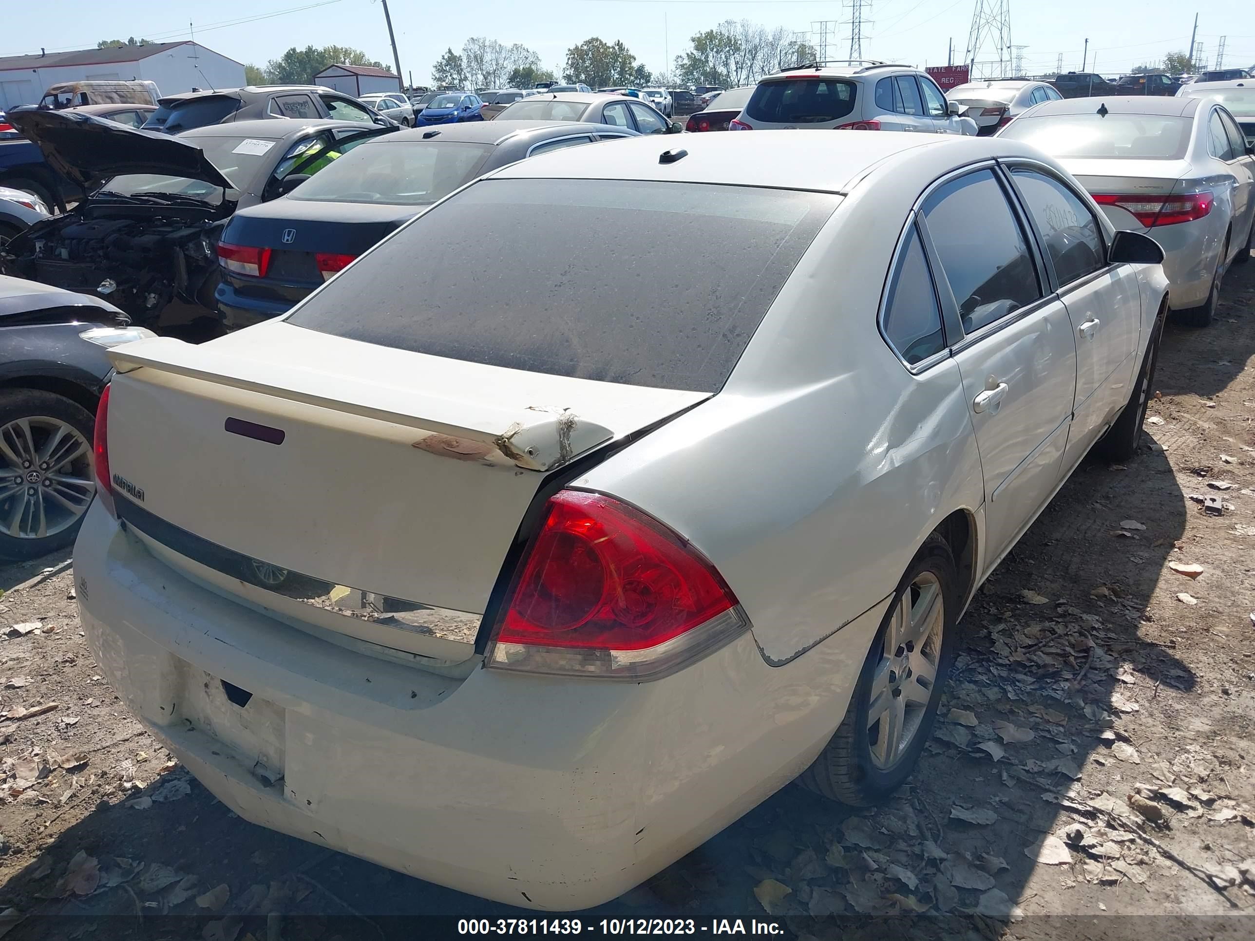 Photo 5 VIN: 2G1WB58K969234409 - CHEVROLET IMPALA 