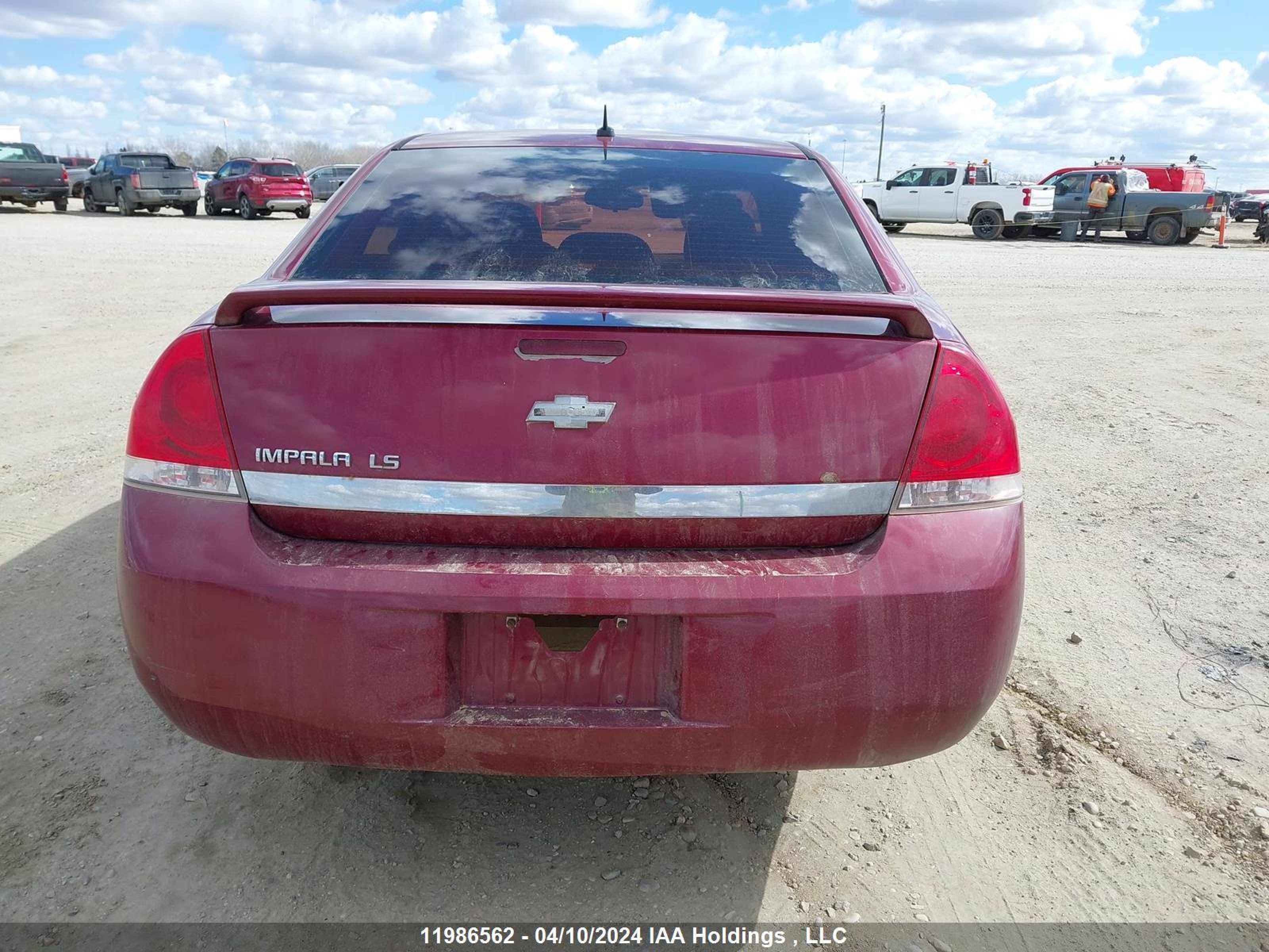 Photo 15 VIN: 2G1WB58N069140378 - CHEVROLET IMPALA 