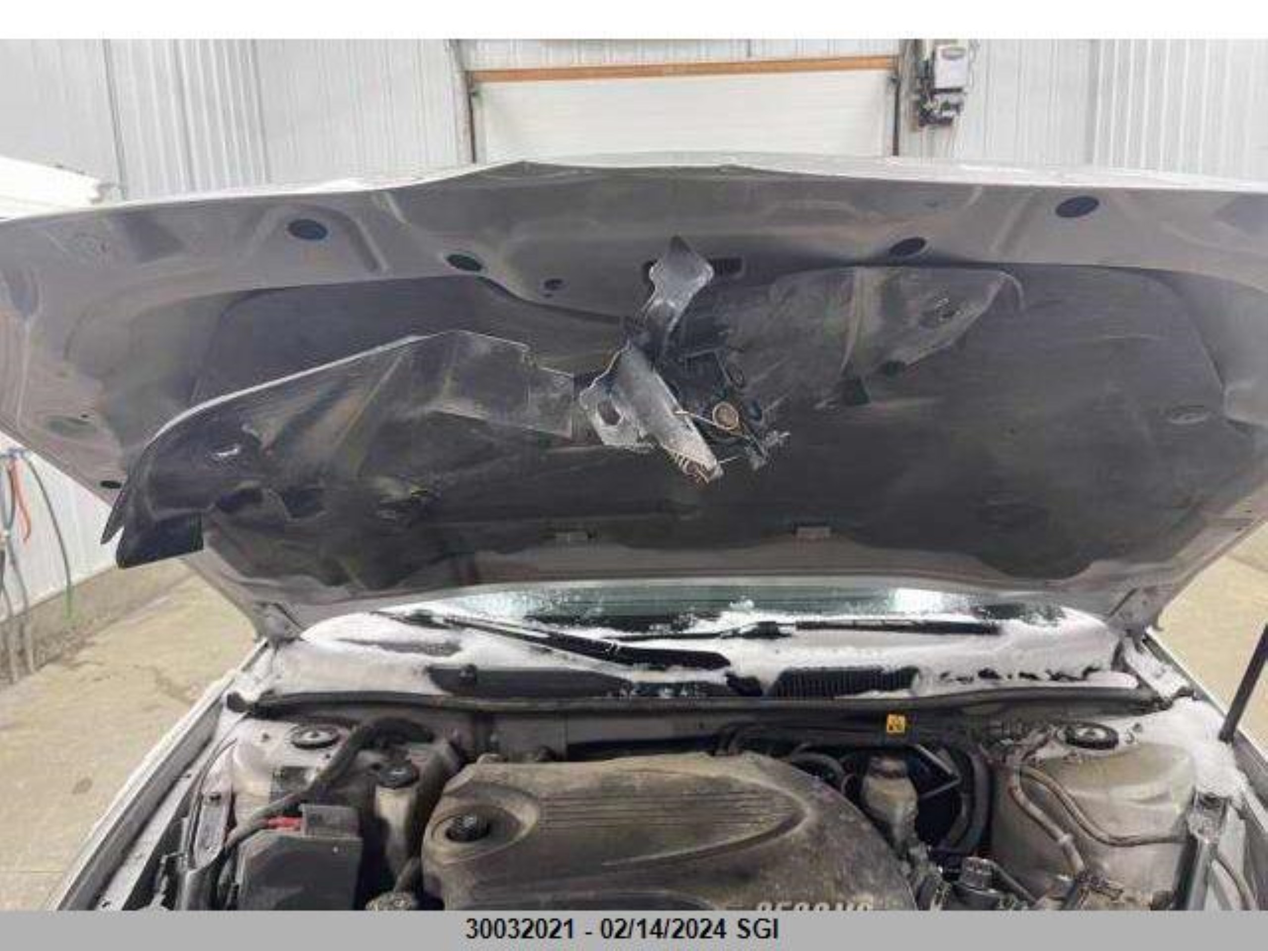 Photo 14 VIN: 2G1WB58N969371487 - CHEVROLET IMPALA 