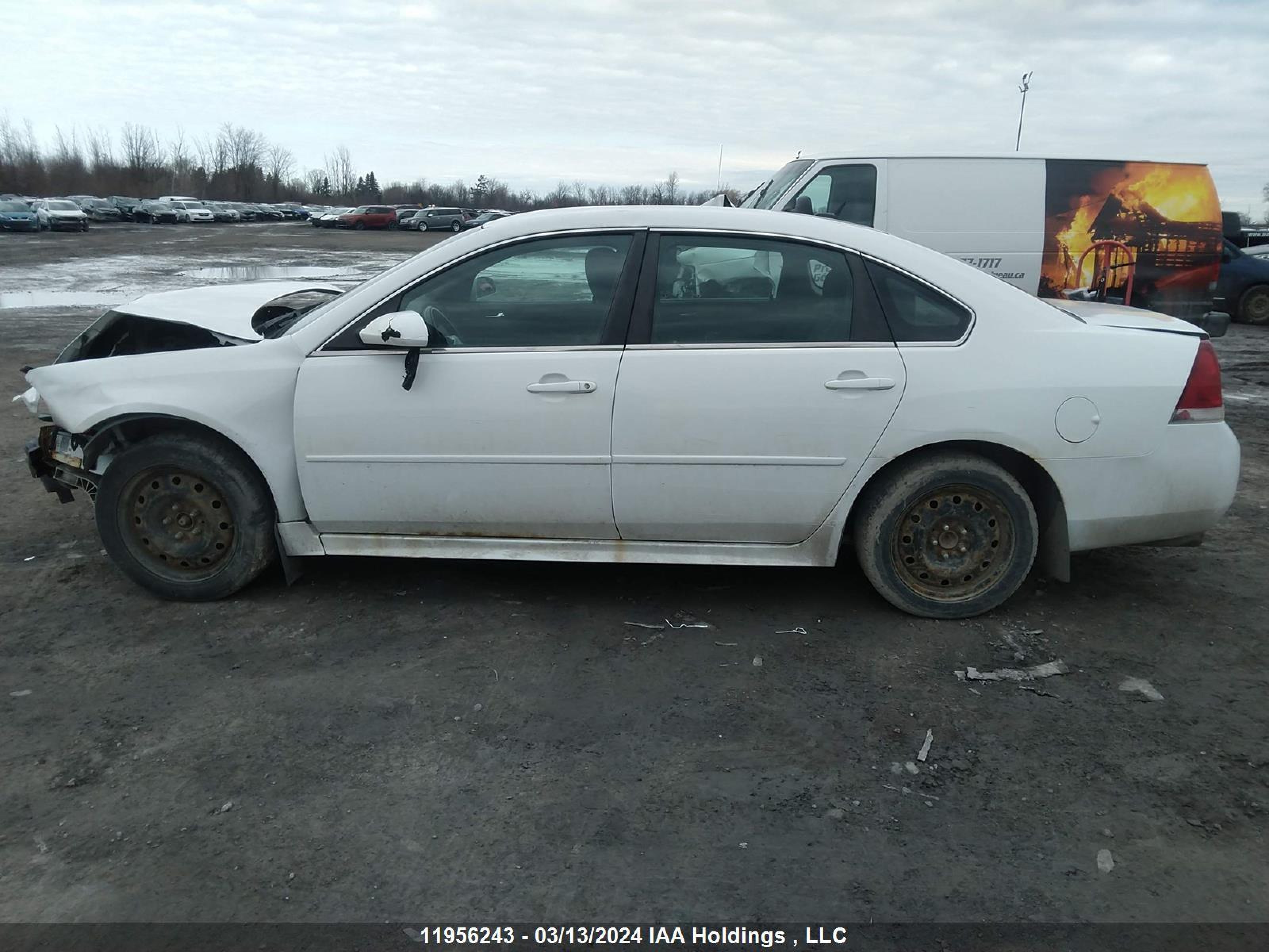 Photo 13 VIN: 2G1WB5E30C1277088 - CHEVROLET IMPALA 