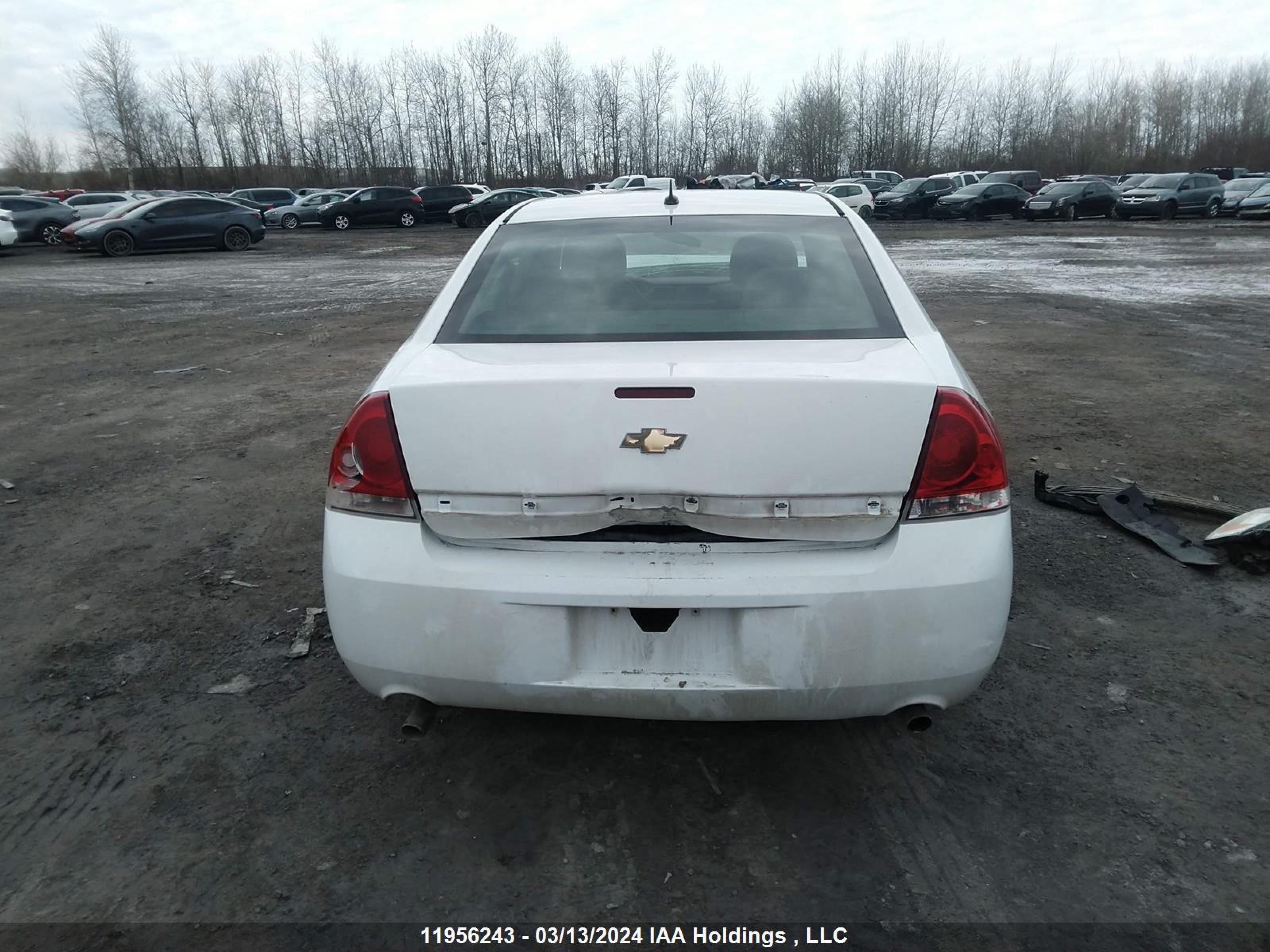 Photo 15 VIN: 2G1WB5E30C1277088 - CHEVROLET IMPALA 