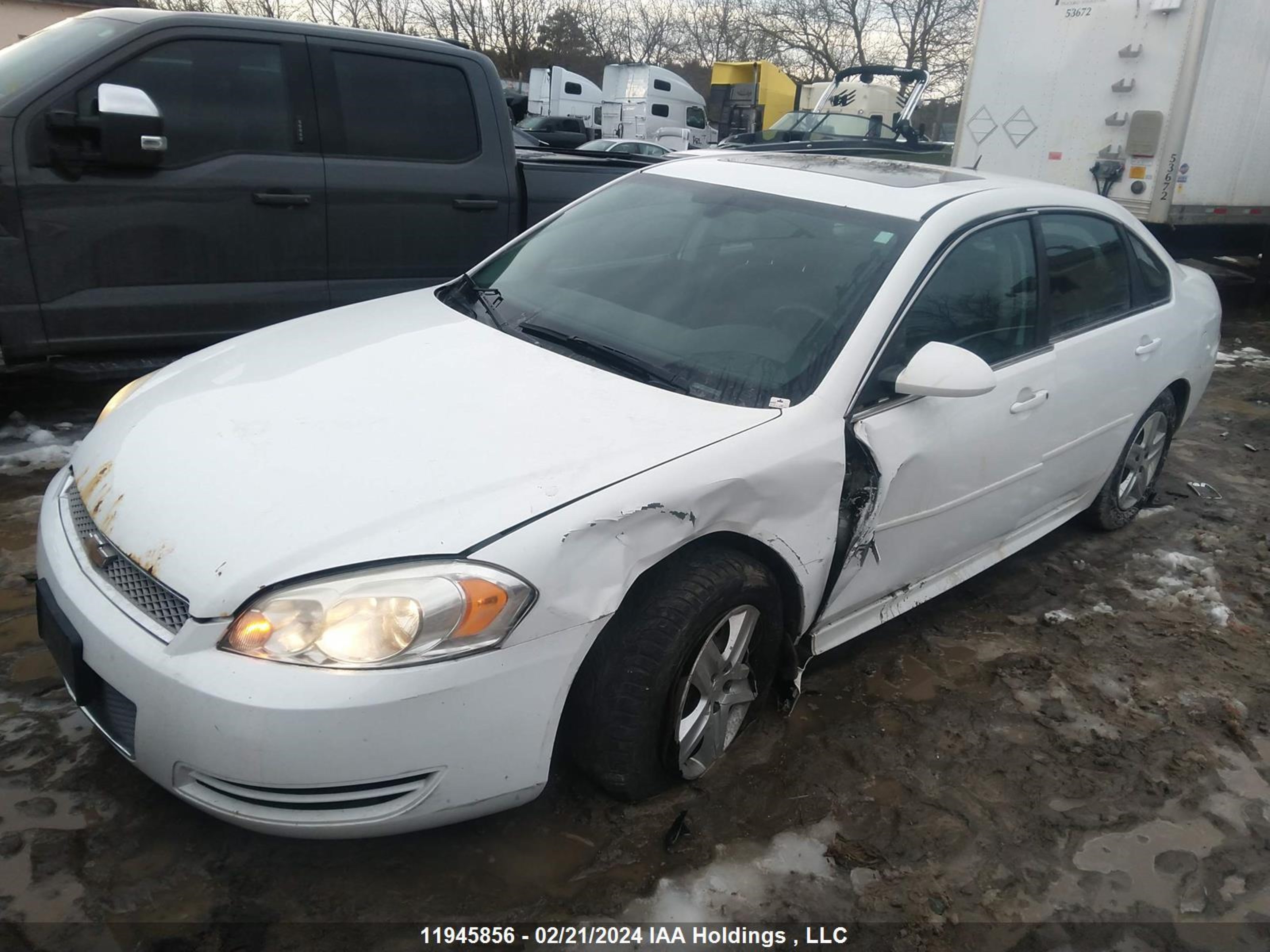 Photo 1 VIN: 2G1WB5E37D1134317 - CHEVROLET IMPALA 