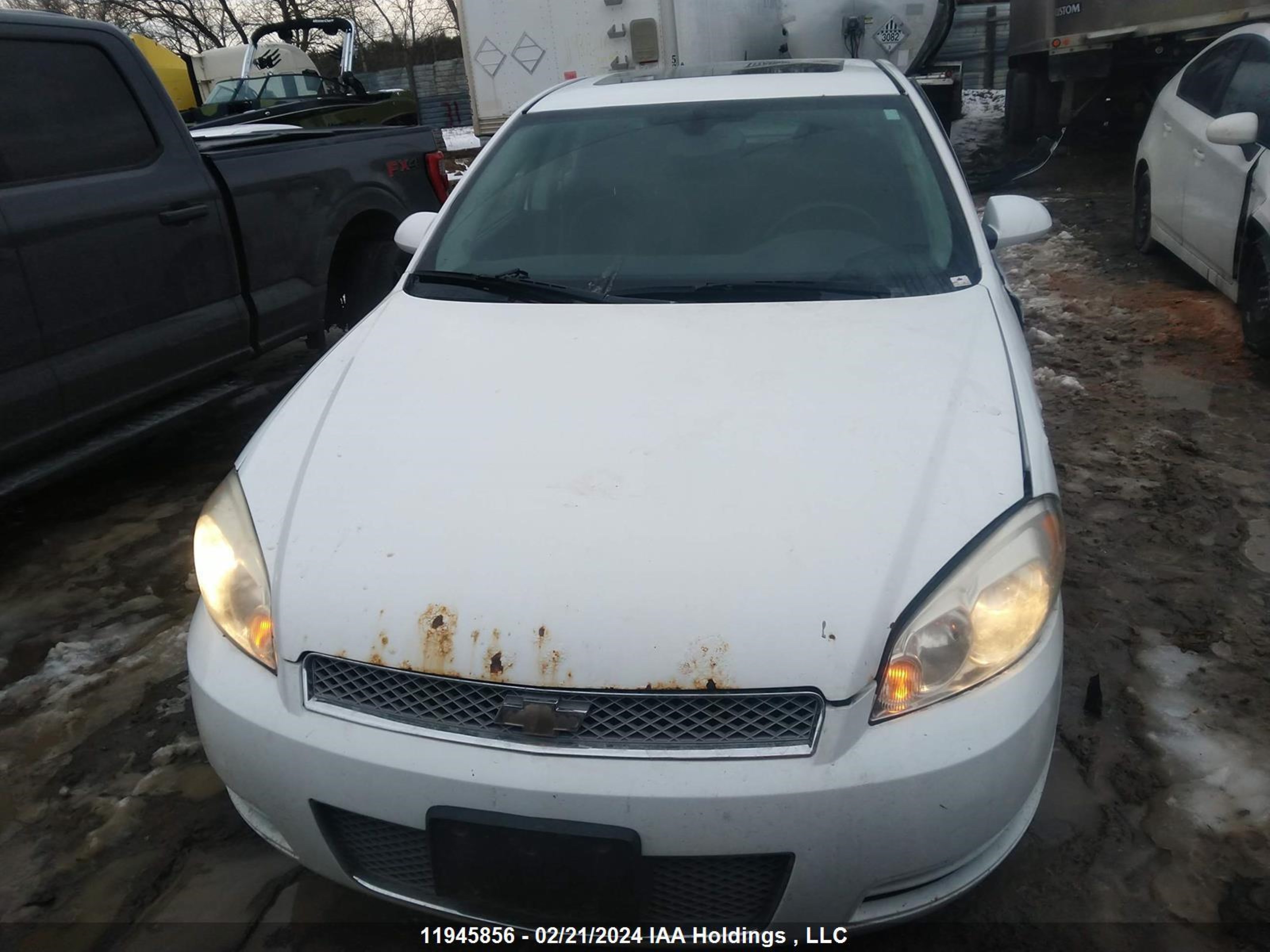 Photo 11 VIN: 2G1WB5E37D1134317 - CHEVROLET IMPALA 