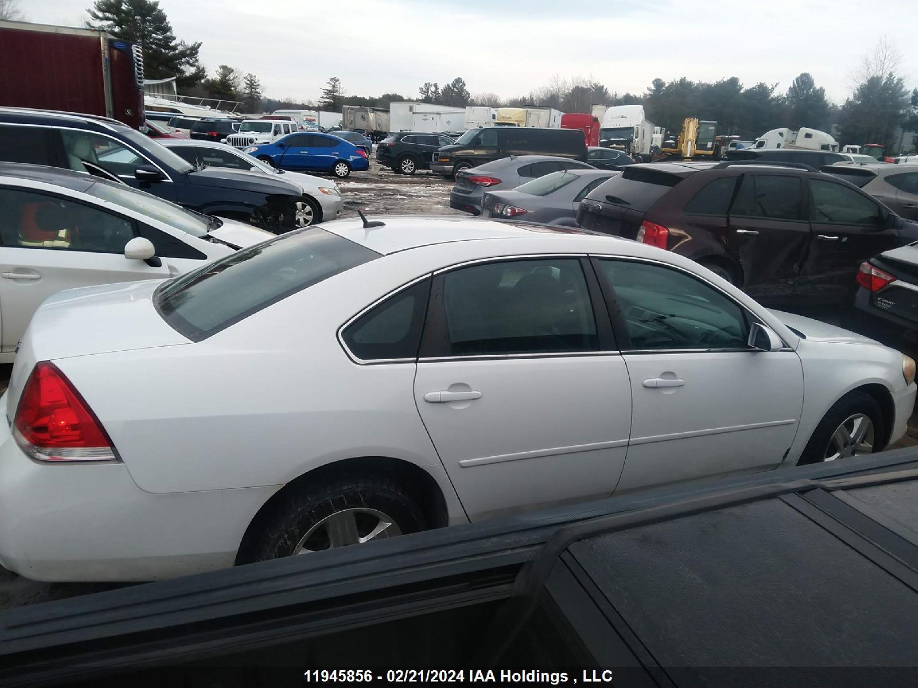 Photo 12 VIN: 2G1WB5E37D1134317 - CHEVROLET IMPALA 