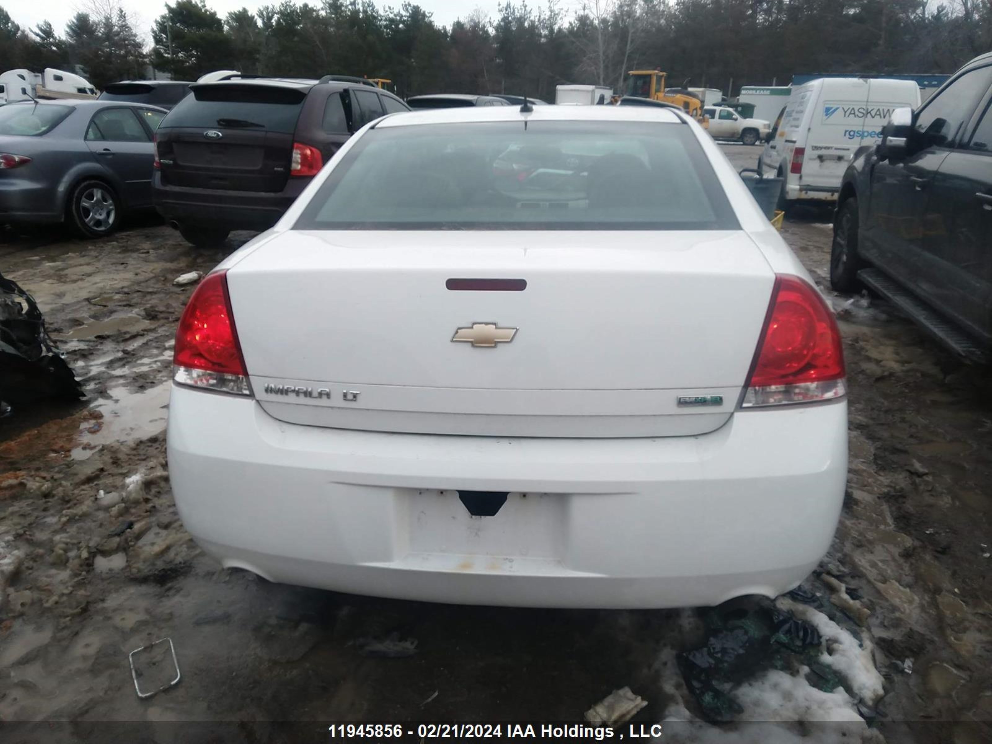 Photo 15 VIN: 2G1WB5E37D1134317 - CHEVROLET IMPALA 