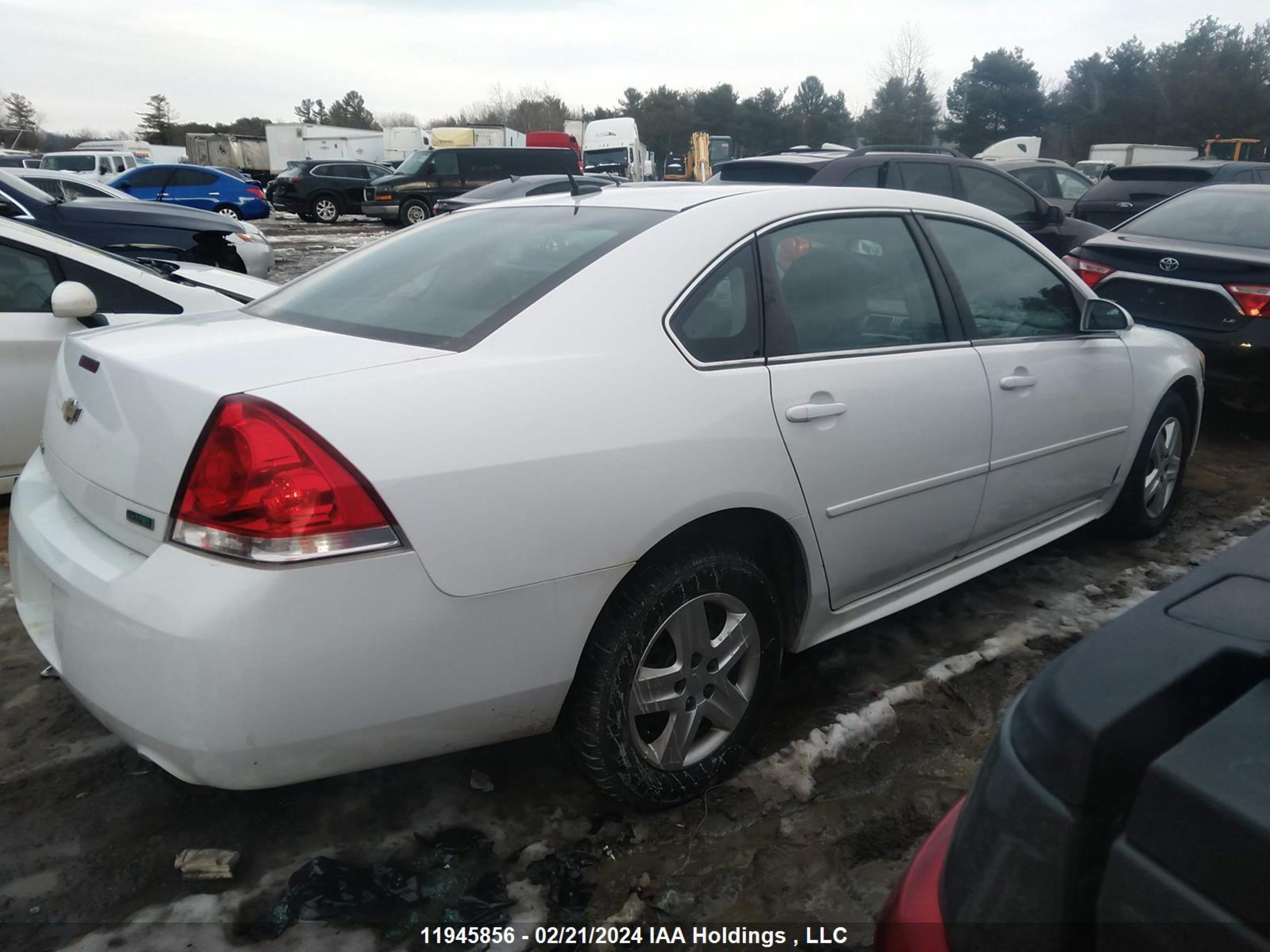 Photo 3 VIN: 2G1WB5E37D1134317 - CHEVROLET IMPALA 