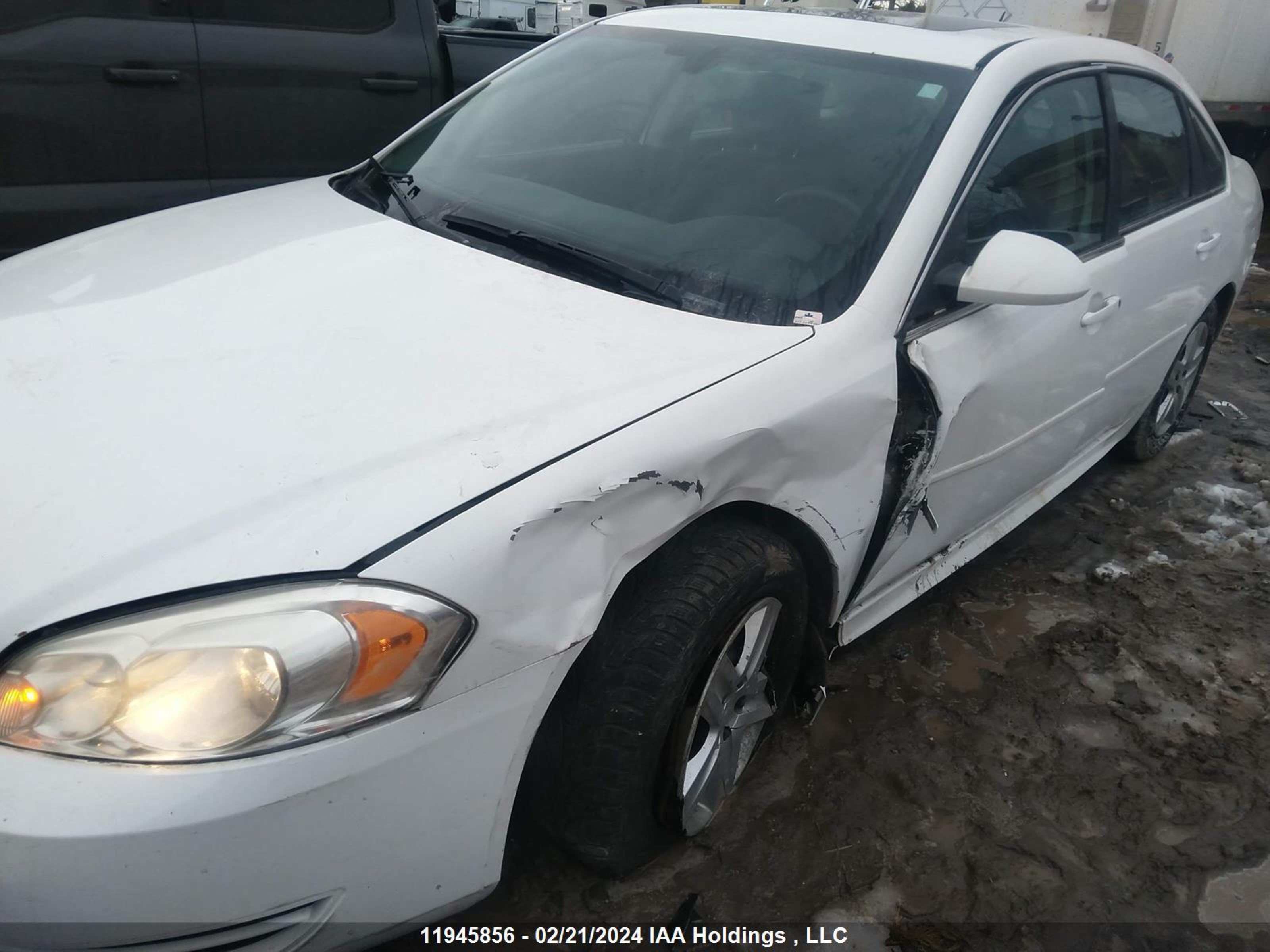 Photo 5 VIN: 2G1WB5E37D1134317 - CHEVROLET IMPALA 