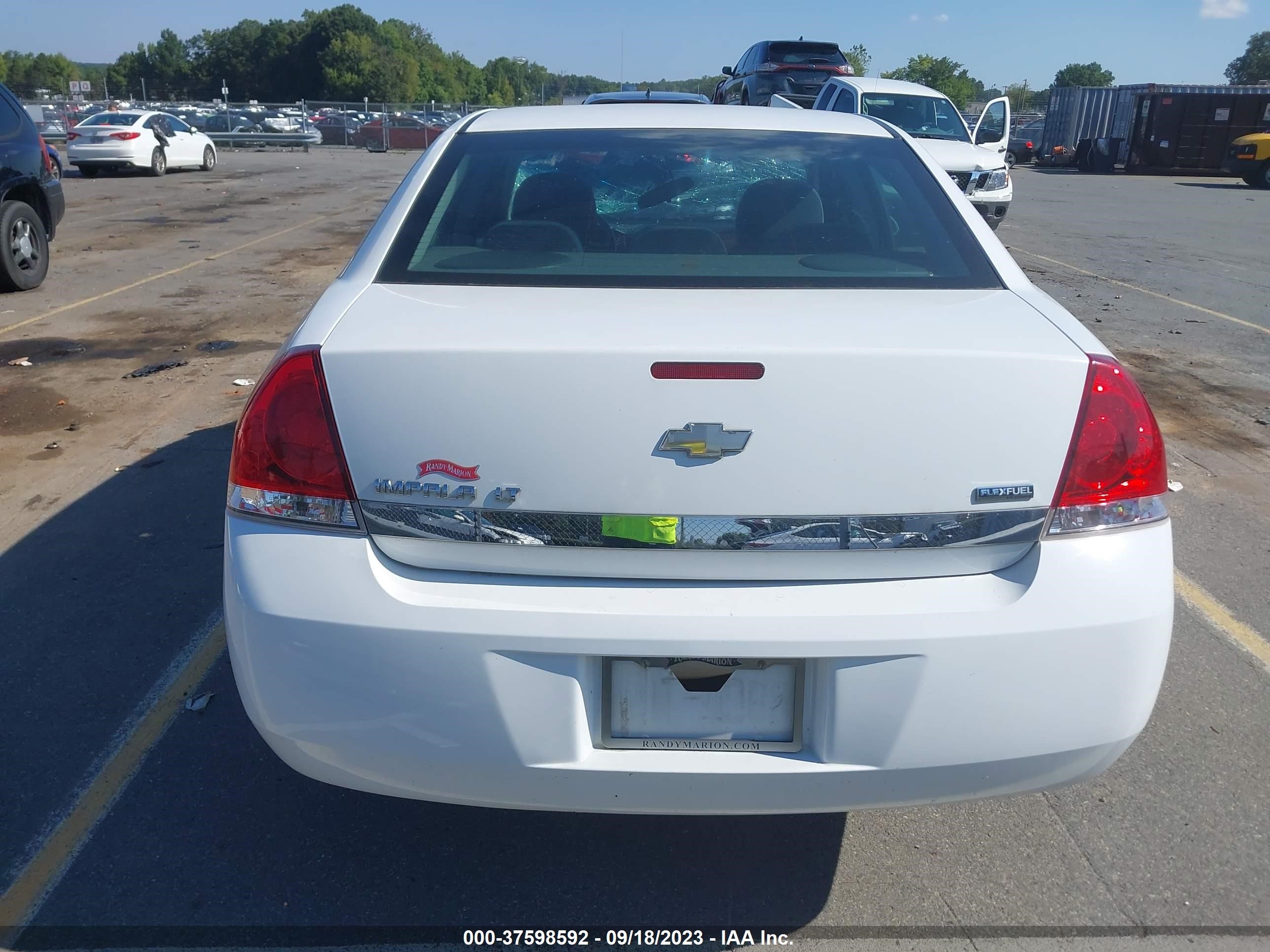 Photo 15 VIN: 2G1WB5EK6A1113624 - CHEVROLET IMPALA 