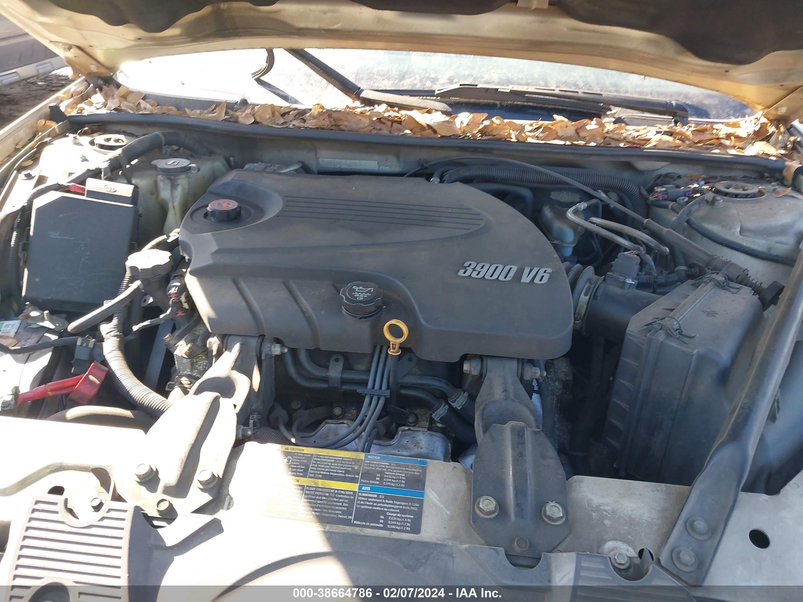 Photo 9 VIN: 2G1WC5EM2A1206221 - CHEVROLET IMPALA 