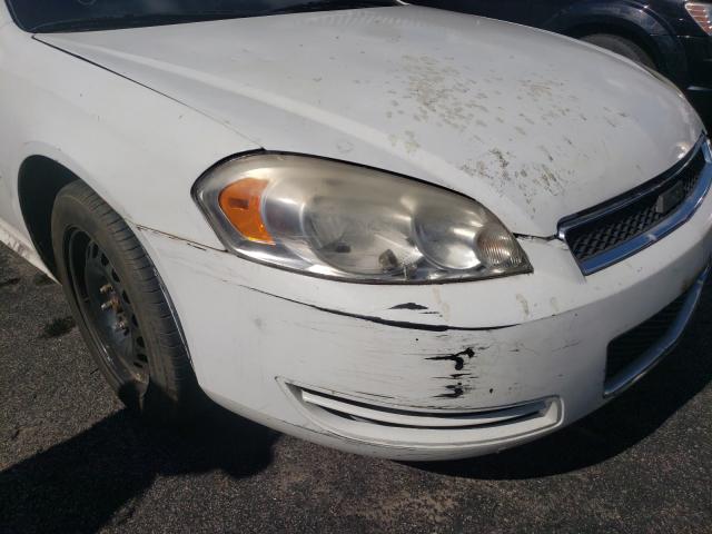 Photo 8 VIN: 2G1WD5E34D1220386 - CHEVROLET IMPALA POL 