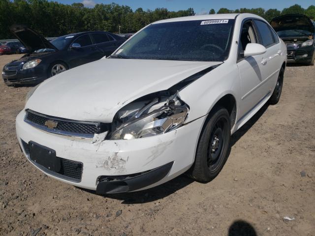 Photo 8 VIN: 2G1WD5E35D1185356 - CHEVROLET IMPALA POL 