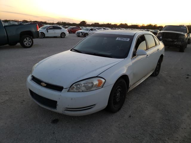 Photo 1 VIN: 2G1WD5EM1A1167456 - CHEVROLET IMPALA POL 