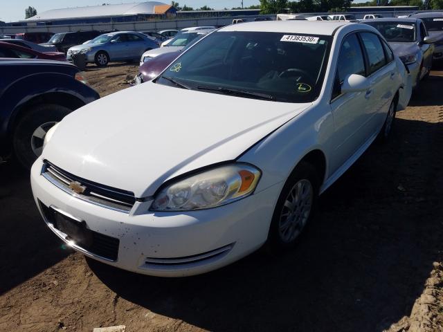 Photo 1 VIN: 2G1WD5EM1A1222648 - CHEVROLET IMPALA POL 