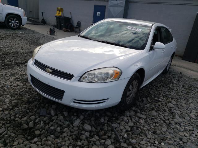 Photo 1 VIN: 2G1WD5EM1A1261899 - CHEVROLET IMPALA POL 