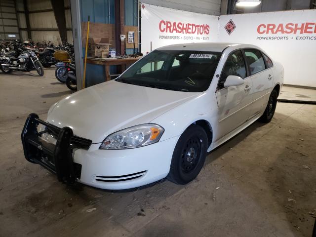 Photo 1 VIN: 2G1WD5EM2B1301912 - CHEVROLET IMPALA POL 