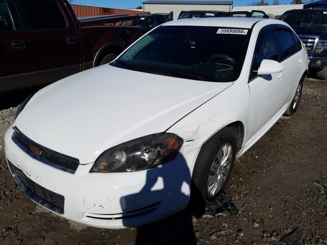 Photo 1 VIN: 2G1WD5EM4B1210365 - CHEVROLET IMPALA POL 