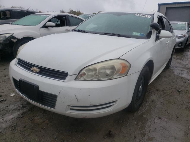 Photo 1 VIN: 2G1WD5EM5B1147941 - CHEVROLET IMPALA POL 