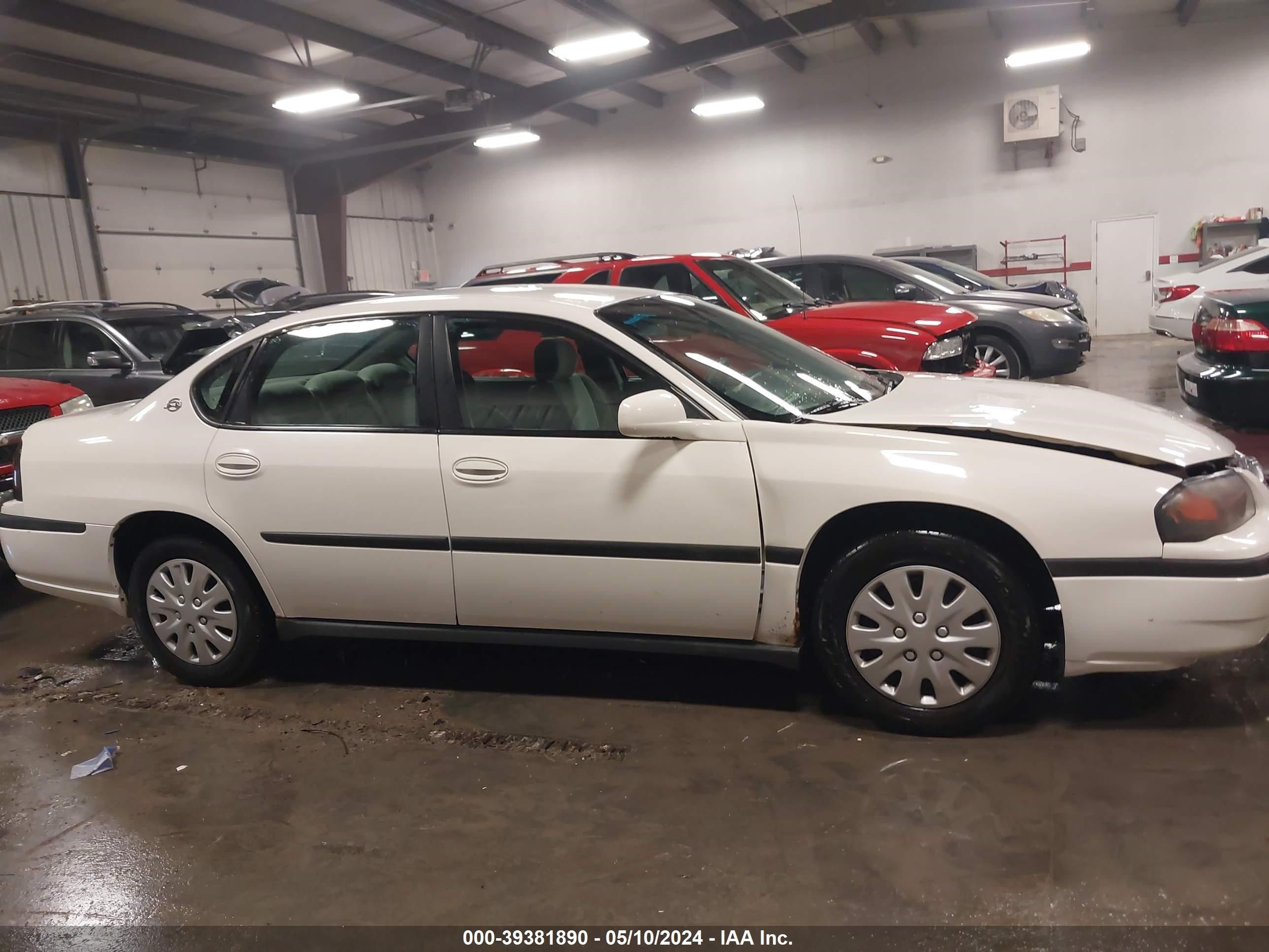 Photo 12 VIN: 2G1WF52E259217490 - CHEVROLET IMPALA 