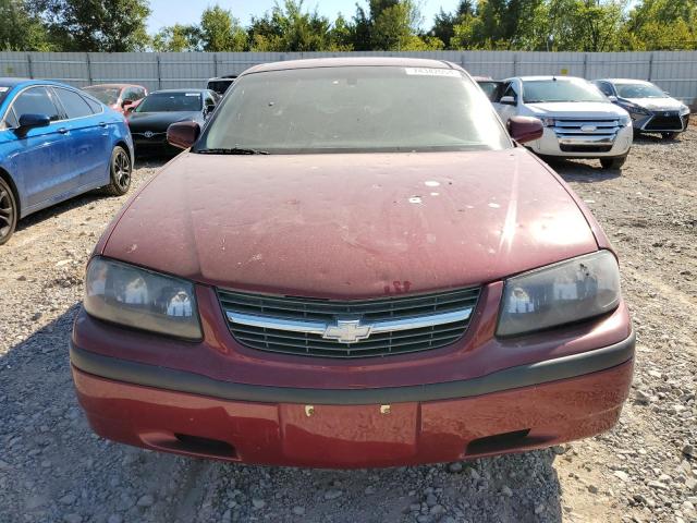 Photo 4 VIN: 2G1WF52E259392239 - CHEVROLET IMPALA 