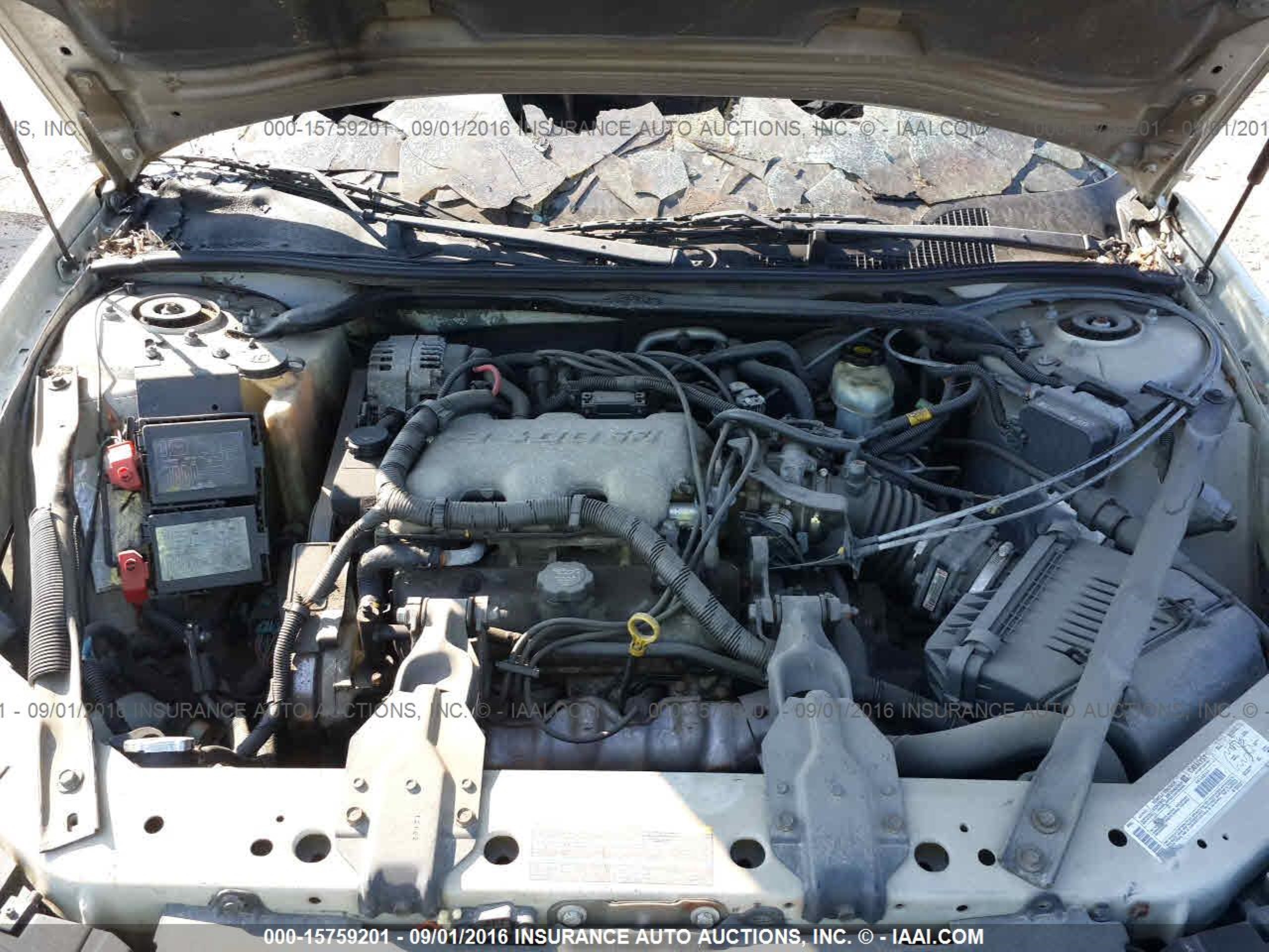 Photo 9 VIN: 2G1WF52E339427366 - CHEVROLET IMPALA 