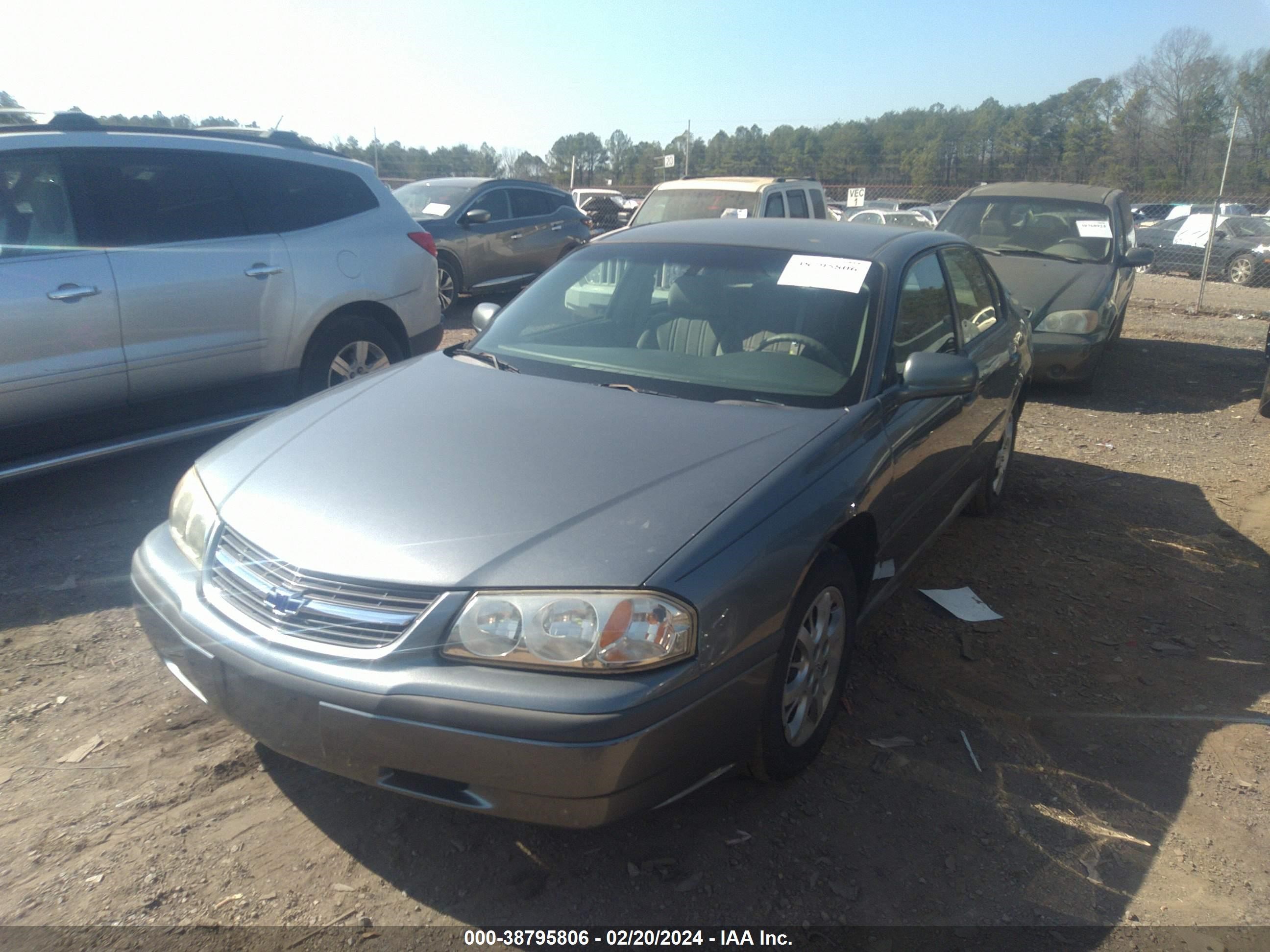 Photo 12 VIN: 2G1WF52E449415941 - CHEVROLET IMPALA 