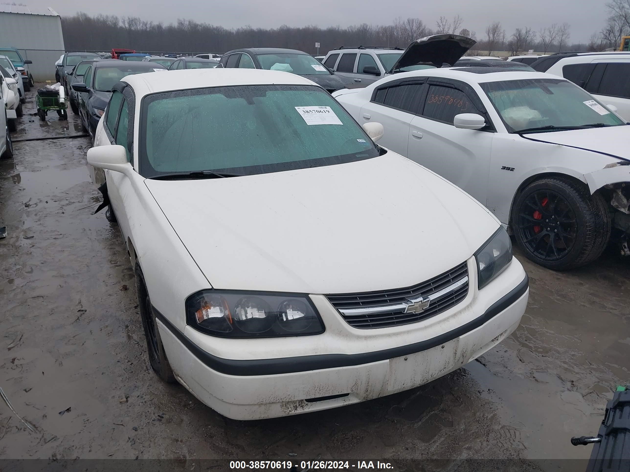 Photo 11 VIN: 2G1WF52E459385406 - CHEVROLET IMPALA 