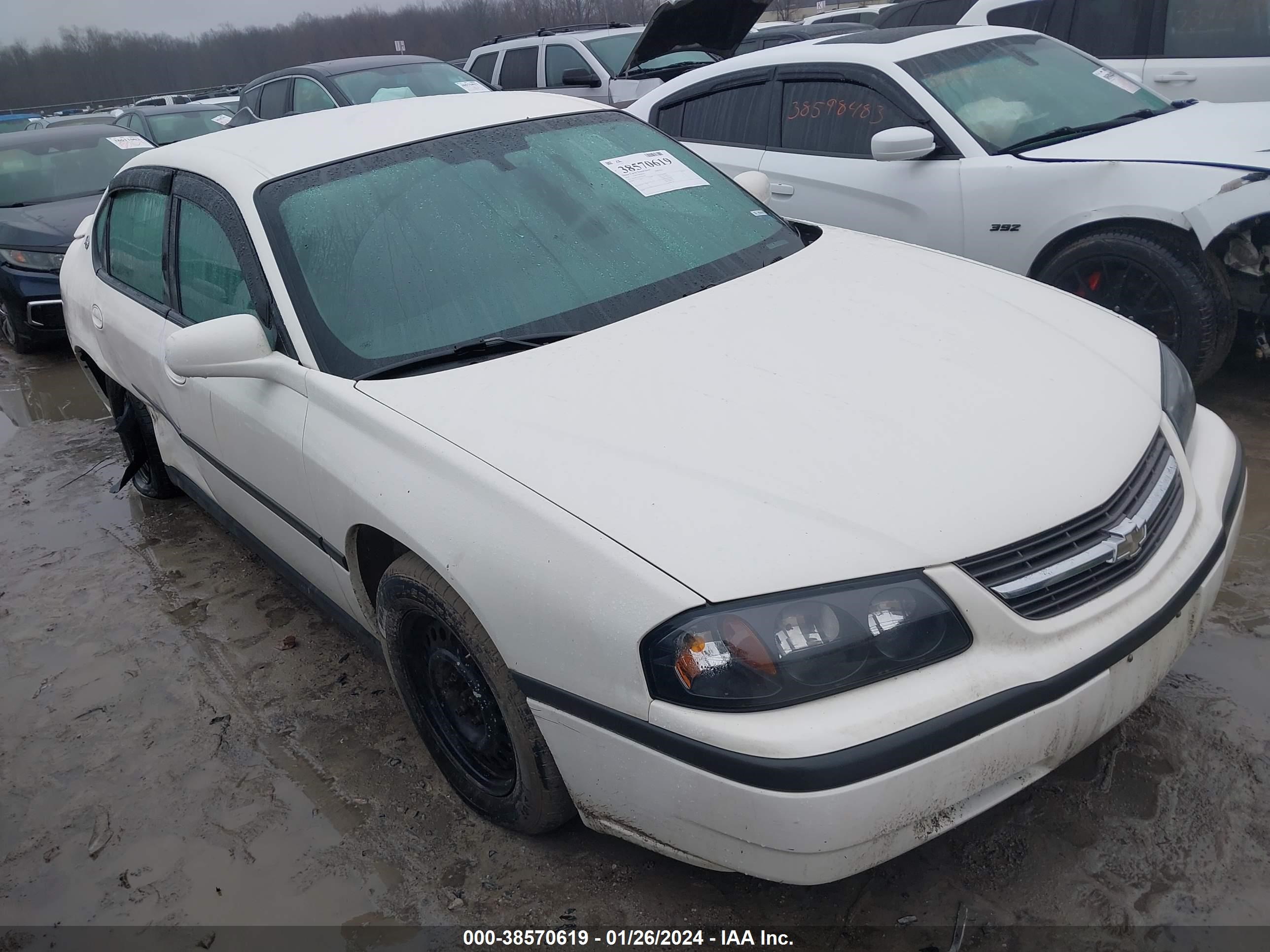 Photo 12 VIN: 2G1WF52E459385406 - CHEVROLET IMPALA 