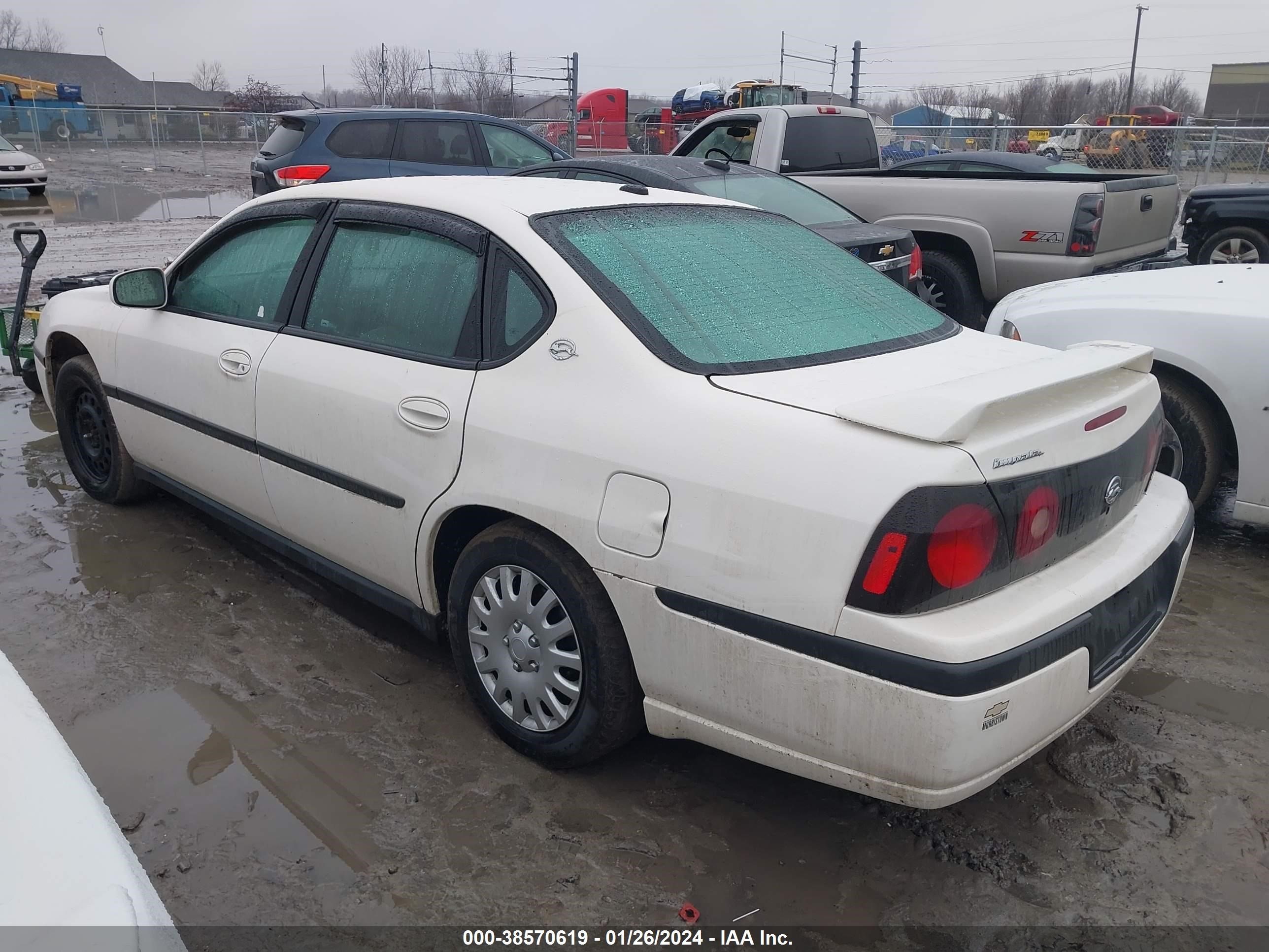 Photo 2 VIN: 2G1WF52E459385406 - CHEVROLET IMPALA 