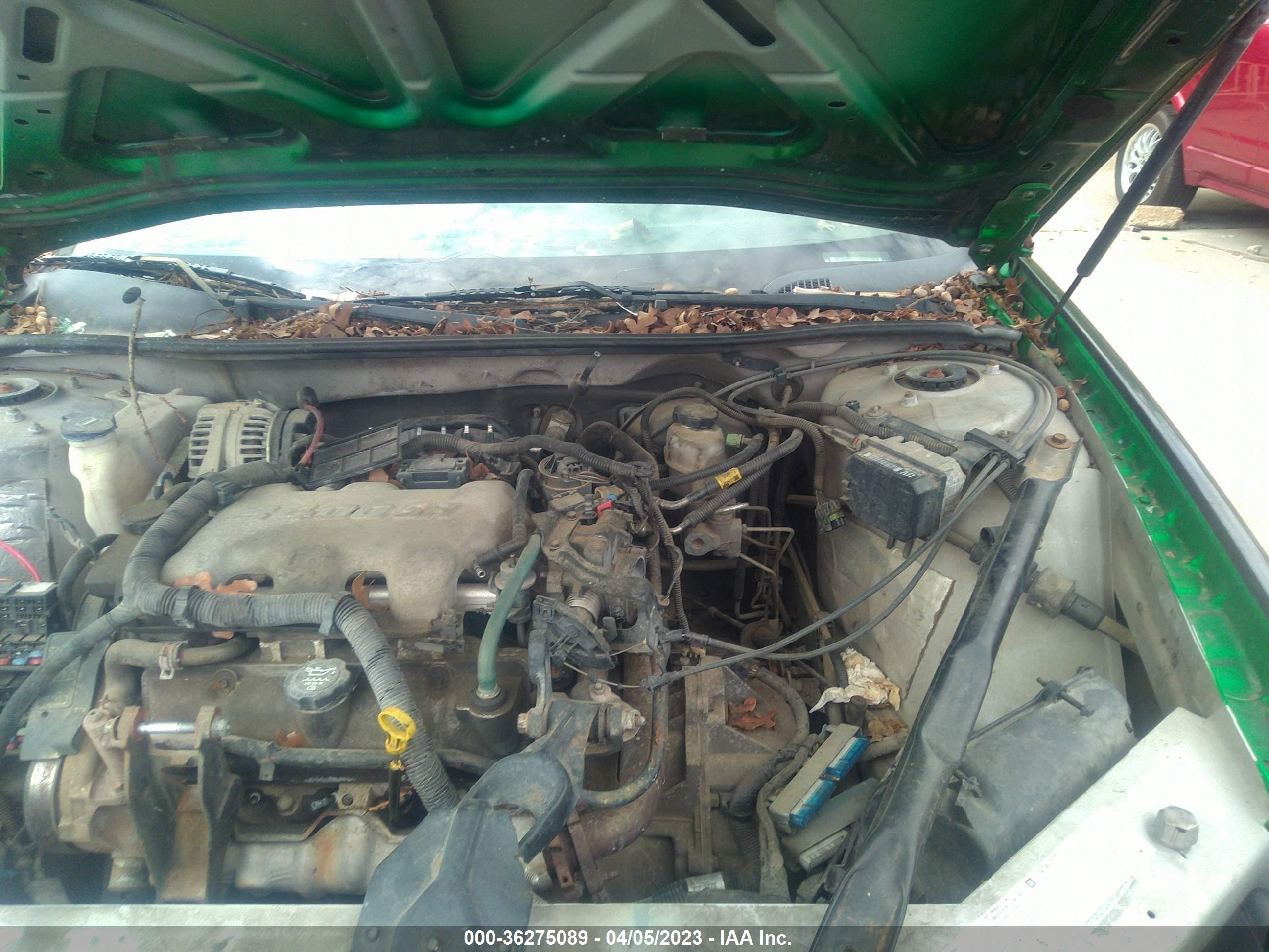 Photo 9 VIN: 2G1WF52E649411163 - CHEVROLET IMPALA 