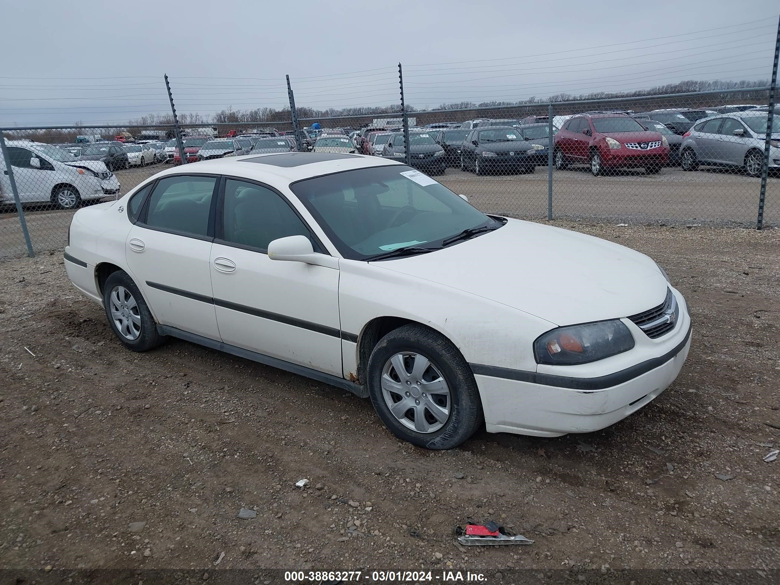 Photo 1 VIN: 2G1WF52EX59297623 - CHEVROLET IMPALA 